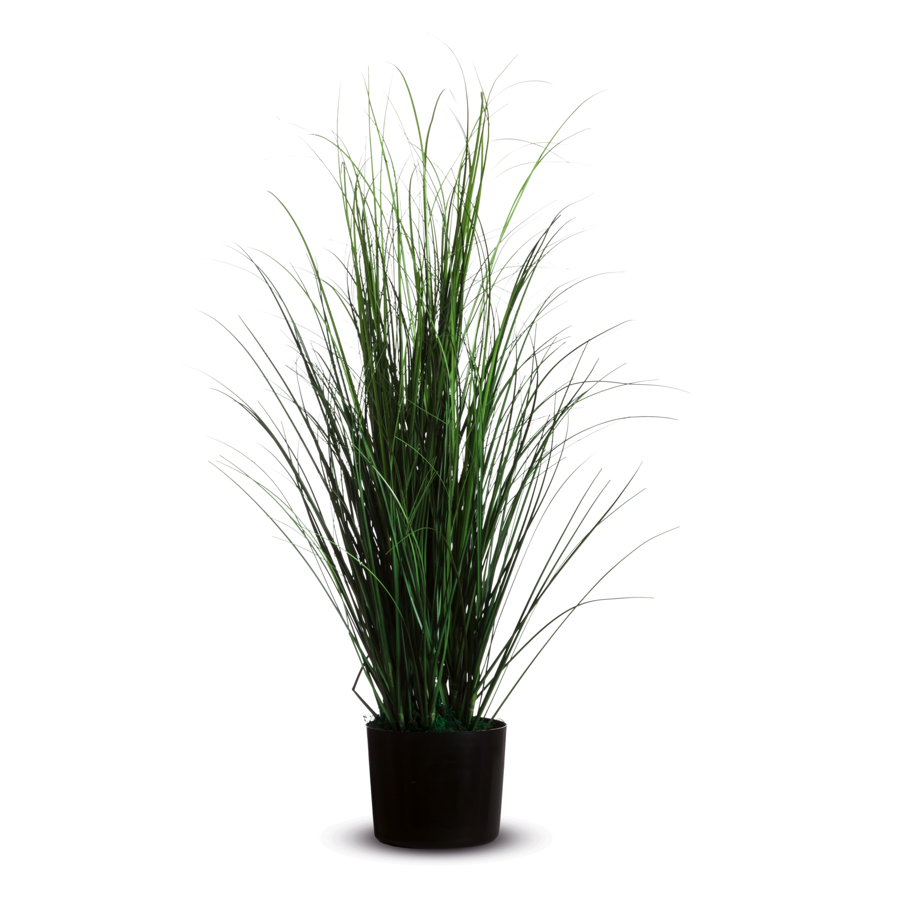 Kunstpflanze GRAS