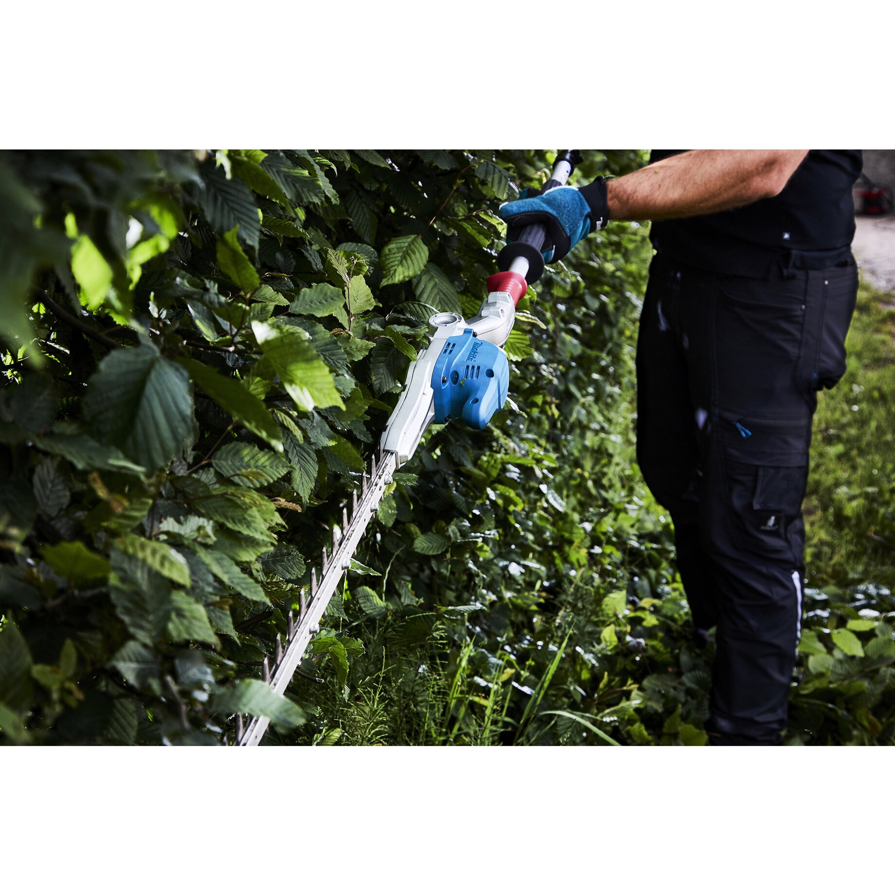 Garten, Natur, Draußen, Gartenarbeit, Person