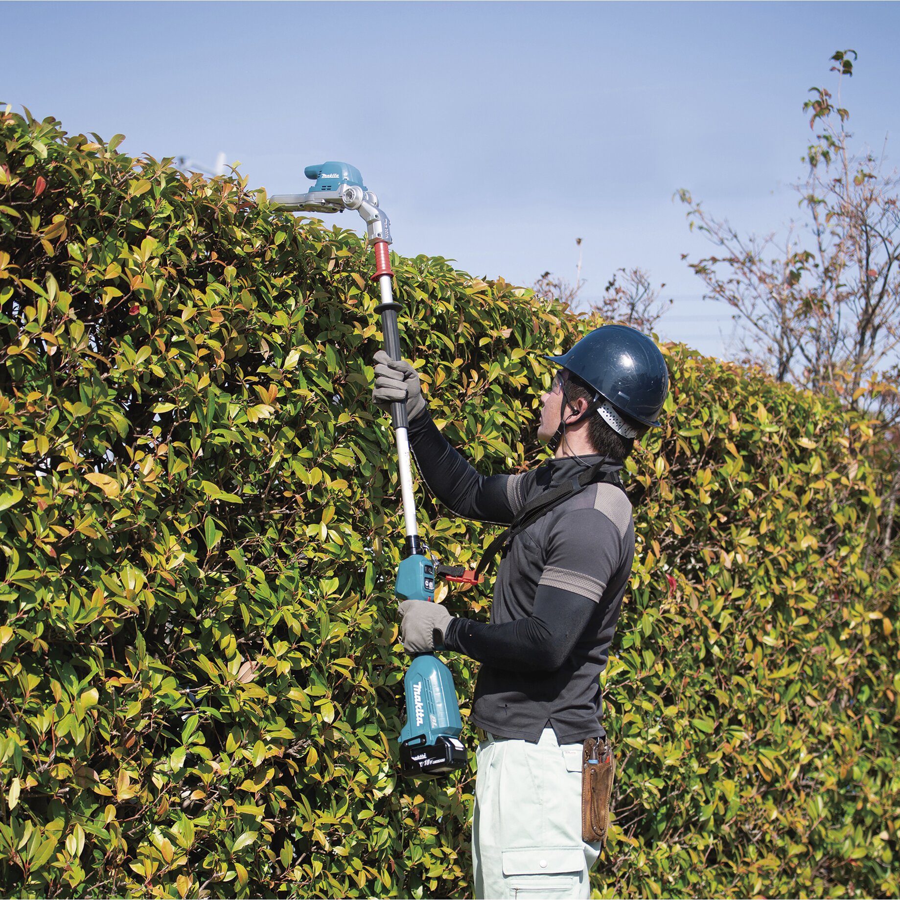 Arbeiter, Handschuh, Hecke, Draußen, Garten