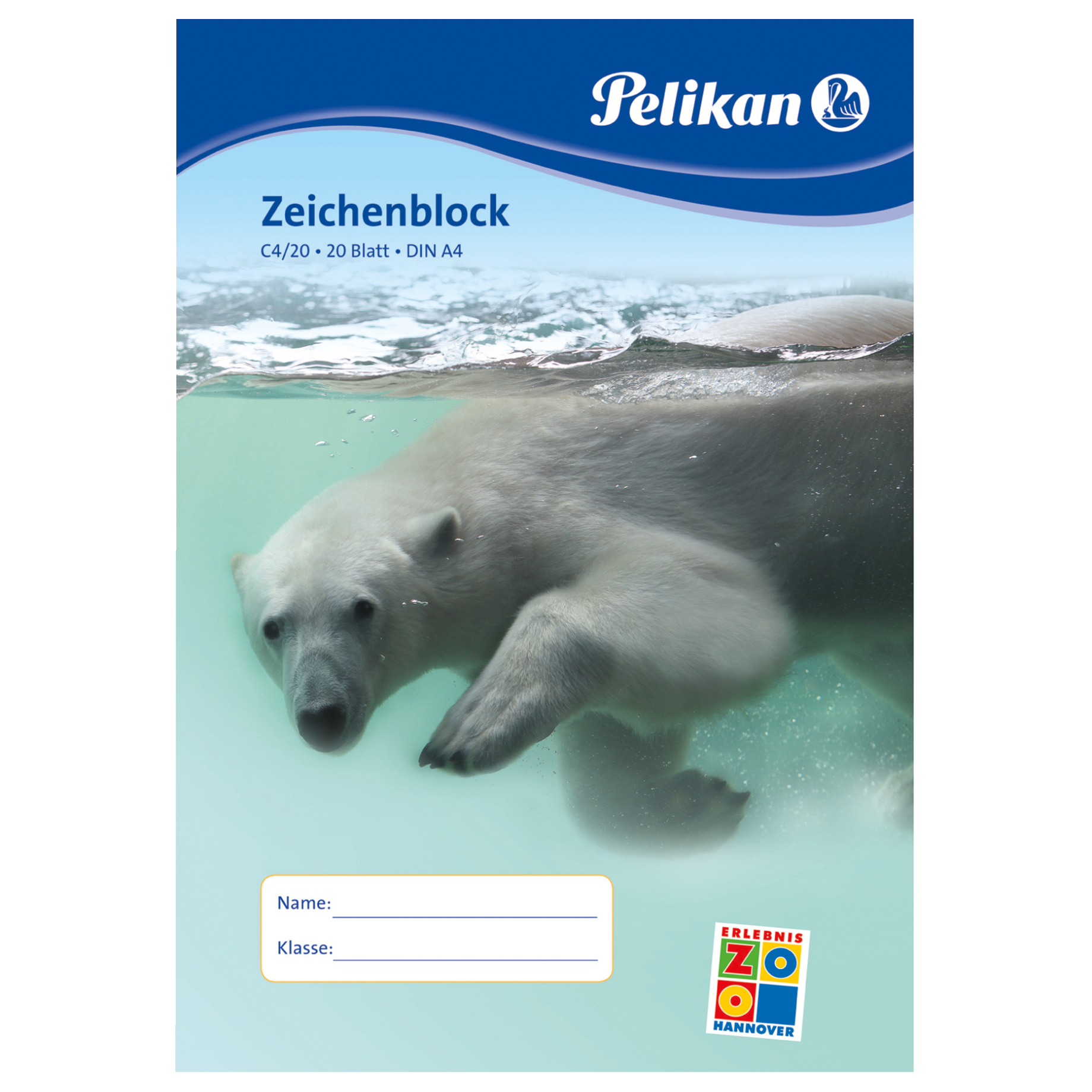 Tier, Bär, Säugetier, Tierwelt, Eisbär