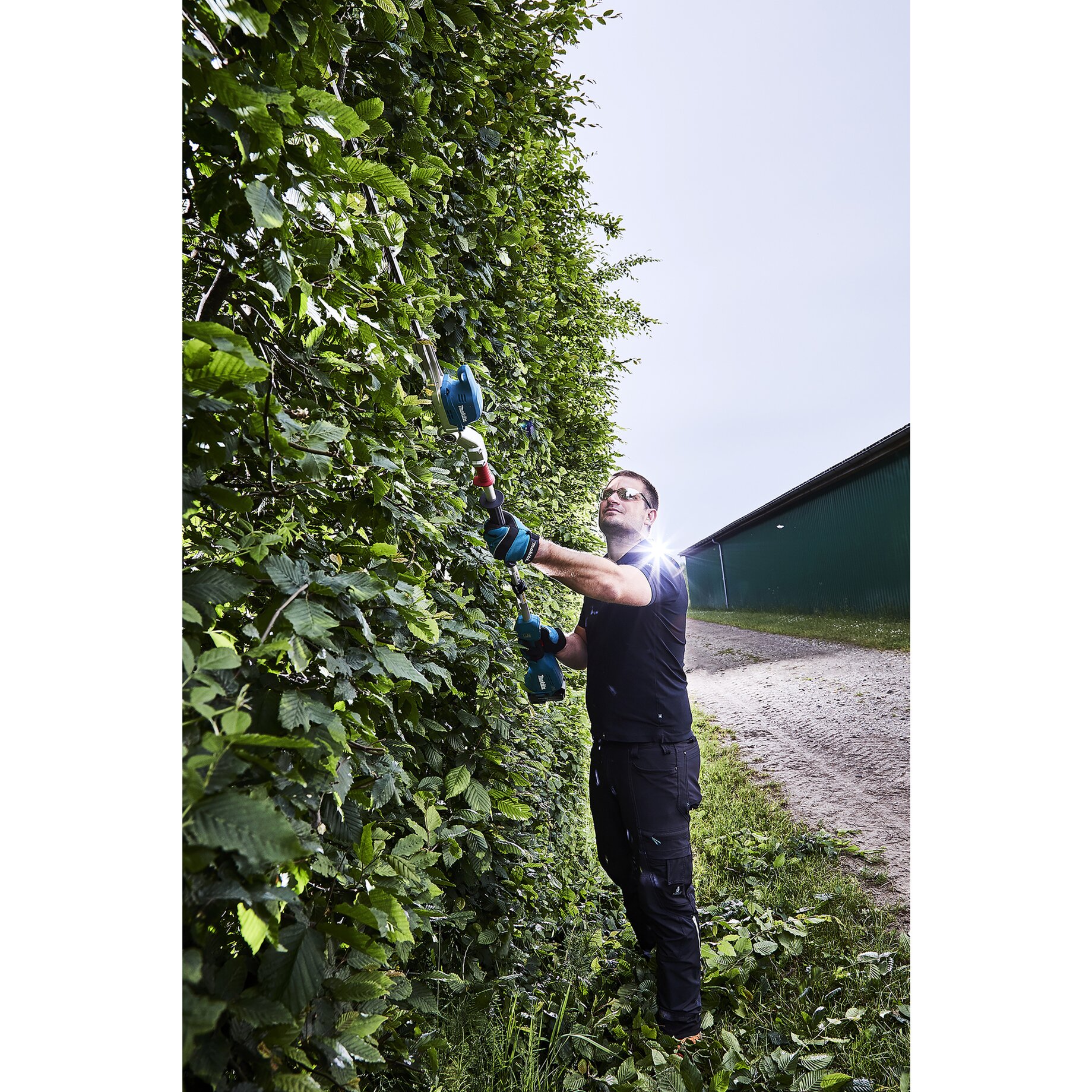 Garten, Natur, Draußen, Handschuh, Weinrebe