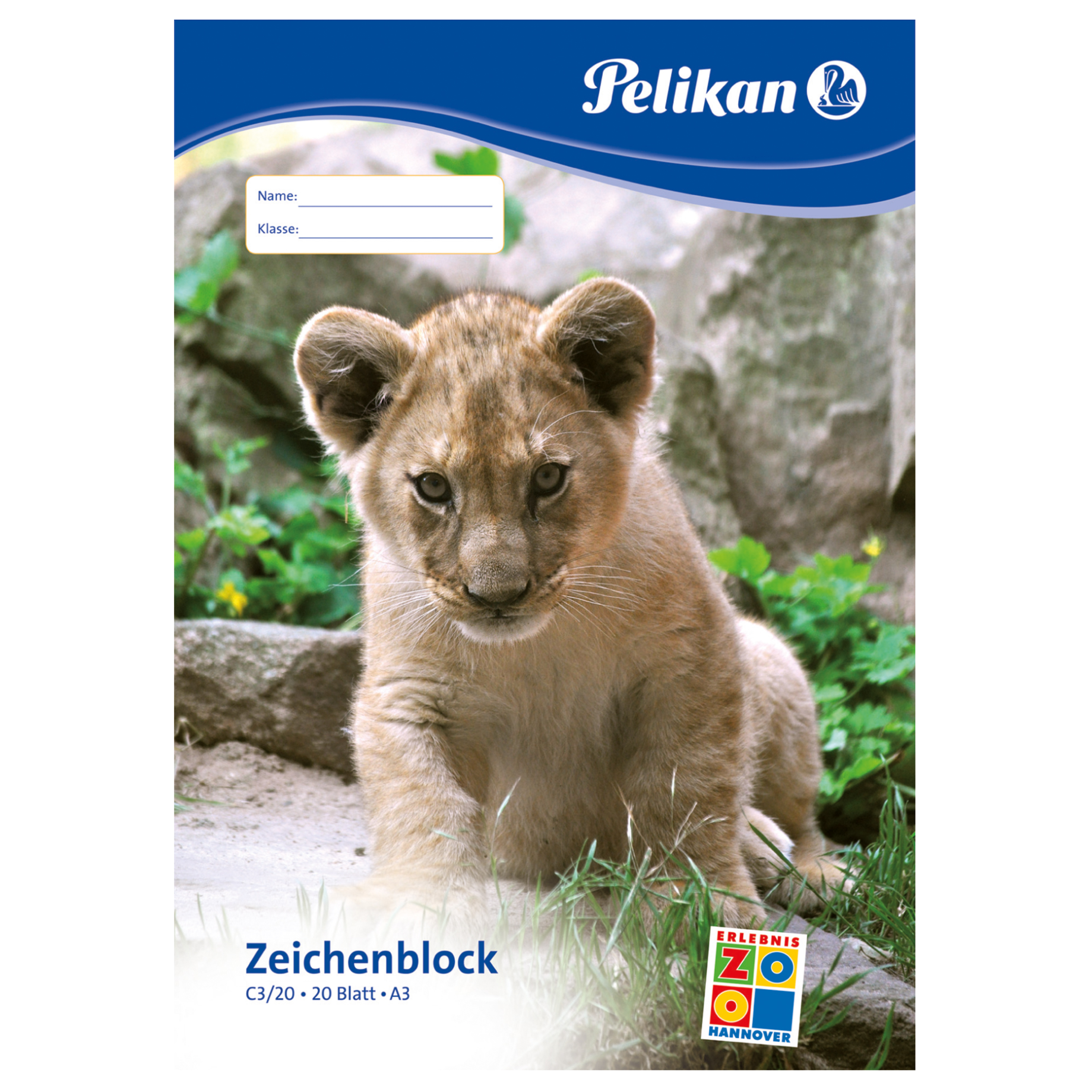 Tier, Löwe, Säugetier, Tierwelt