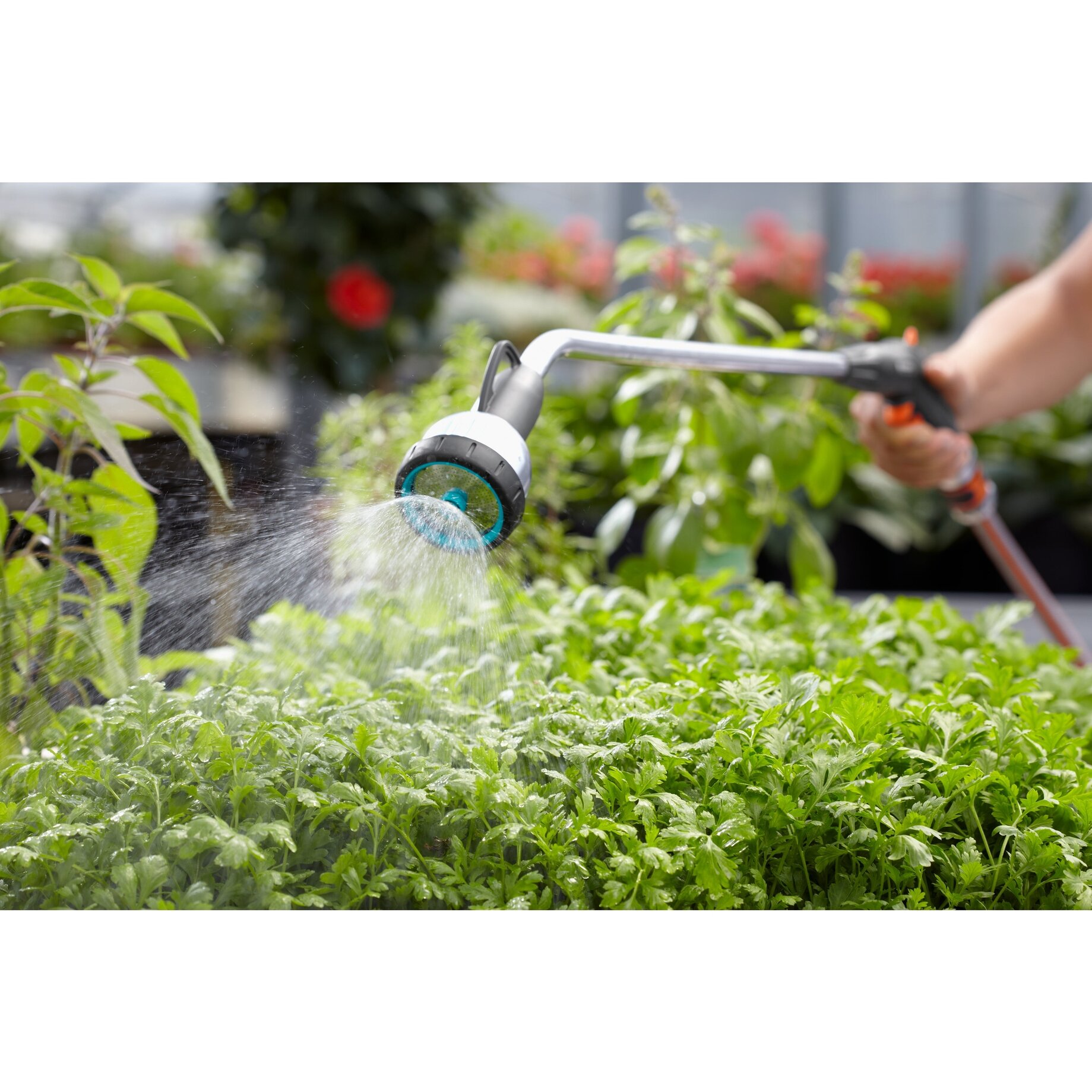 Gartenbrause, Bewässerung, Sprühkopf, Pflanzenpflege, Gartenwerkzeug