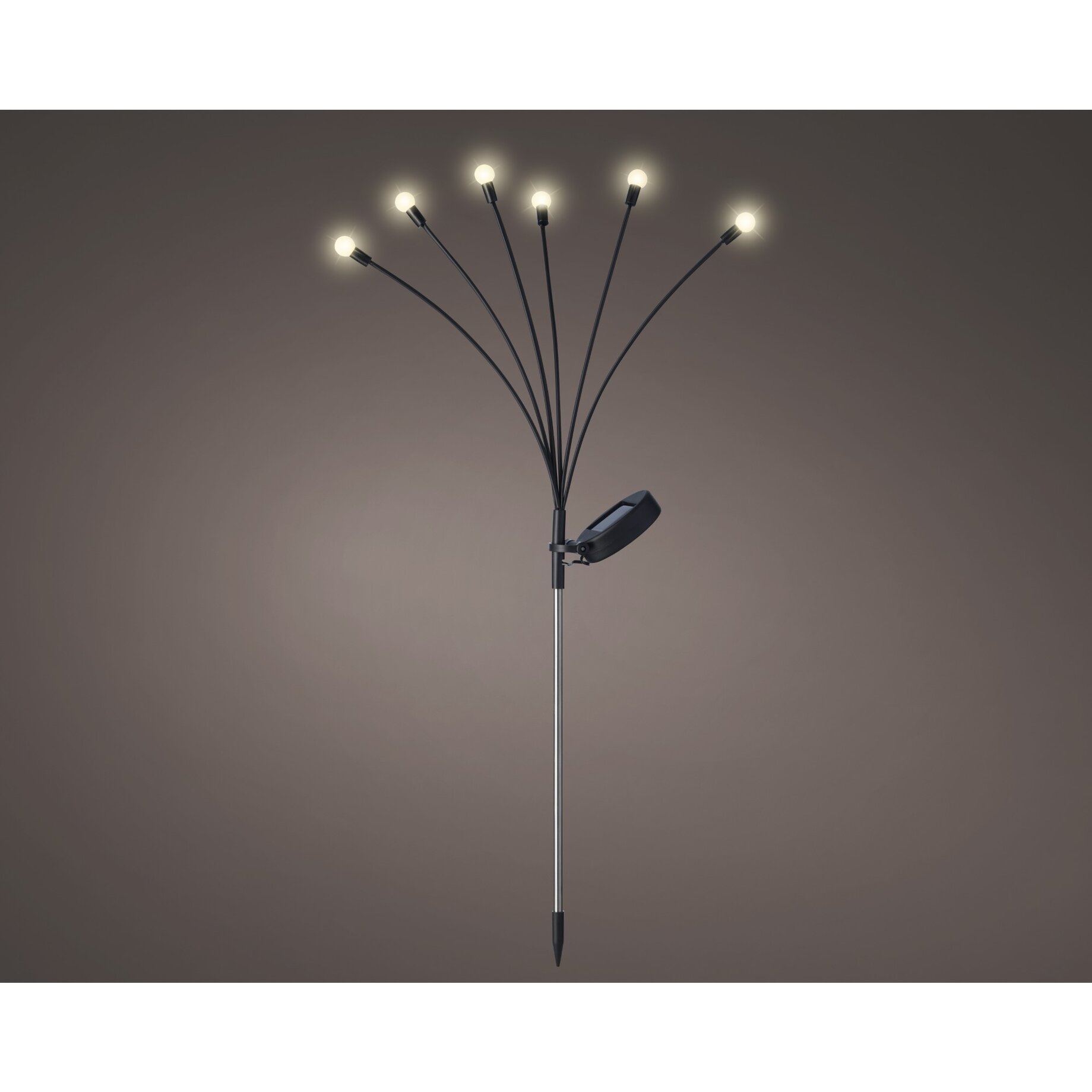 Lampe