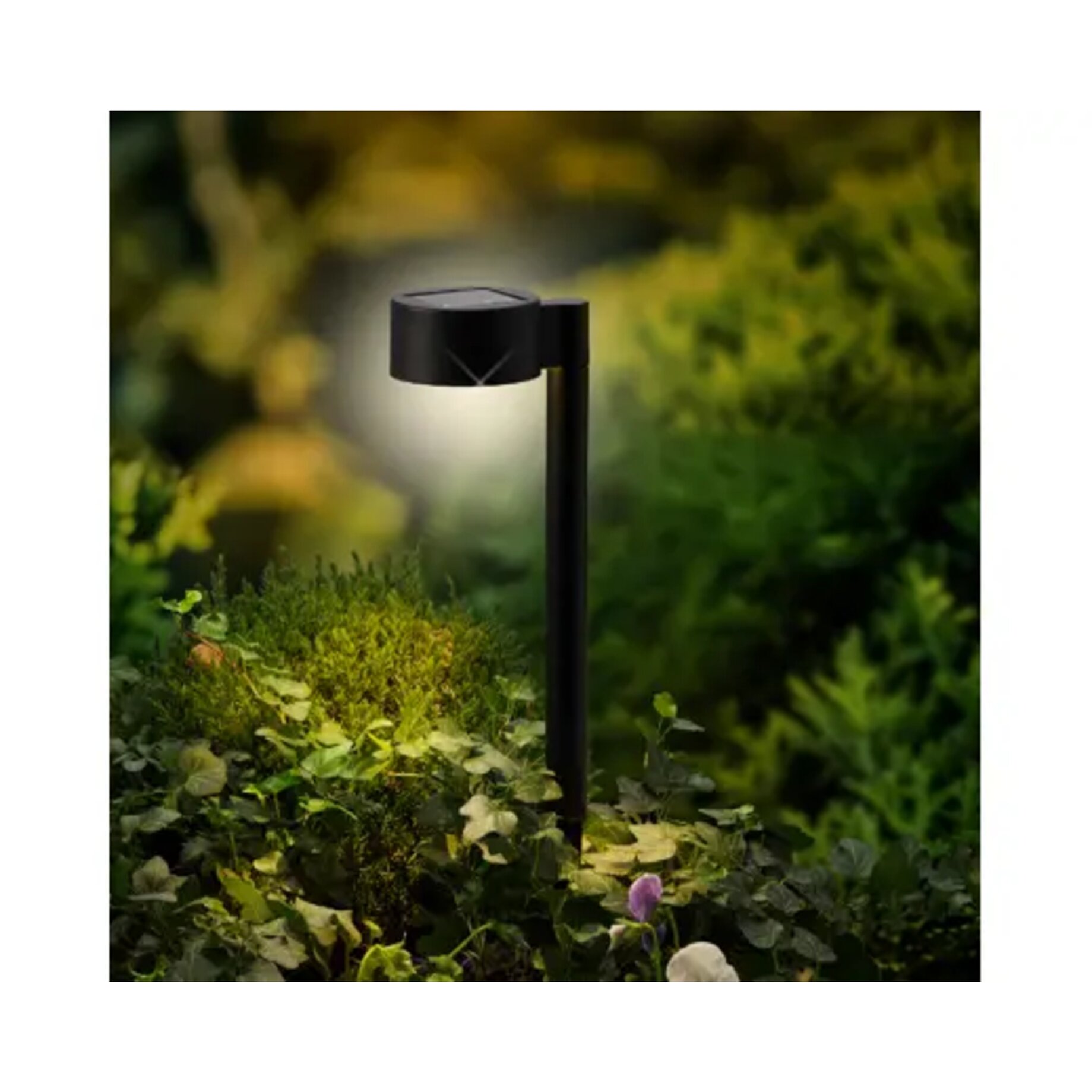 Lampe