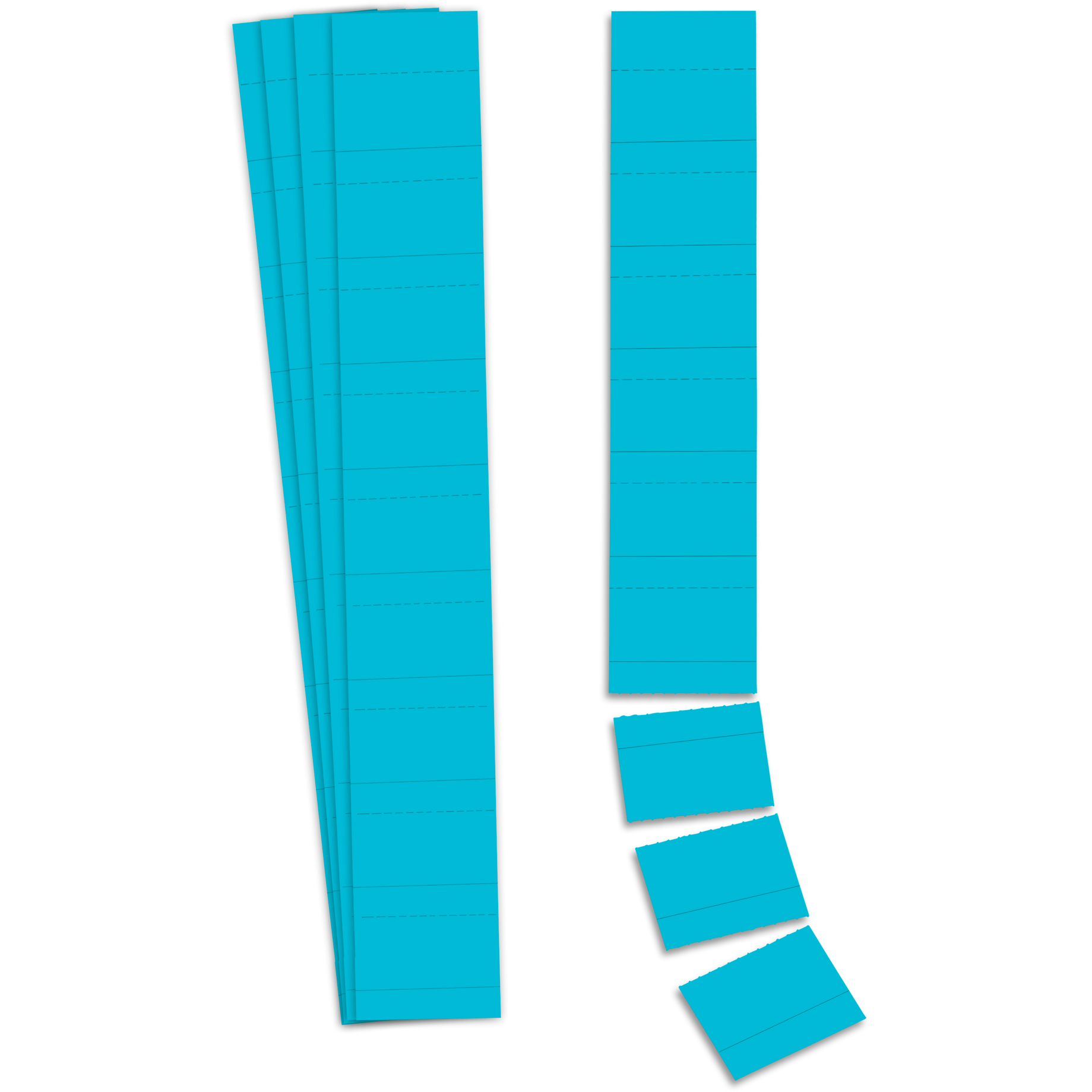 Einsteckkarte für Planrecord Stecktafel, 6 cm