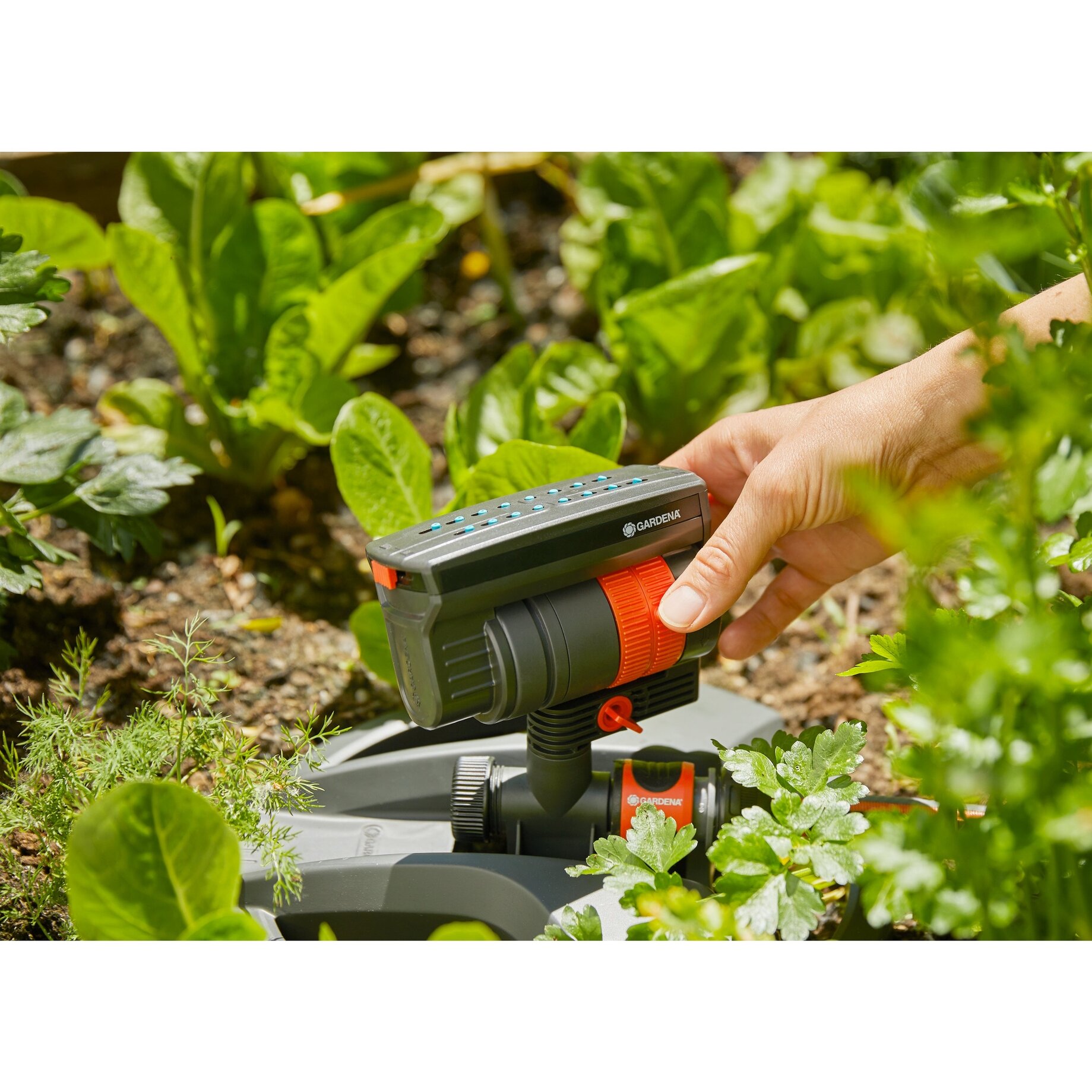 Bewässerungsregelung, Gartenbewässerung, Sprinkler, Gartenbedarf, Anschlusssystem, Sprinkler, Gartensprühkopf, Bewässerung, Rundsprenger, Gartenwerkzeug