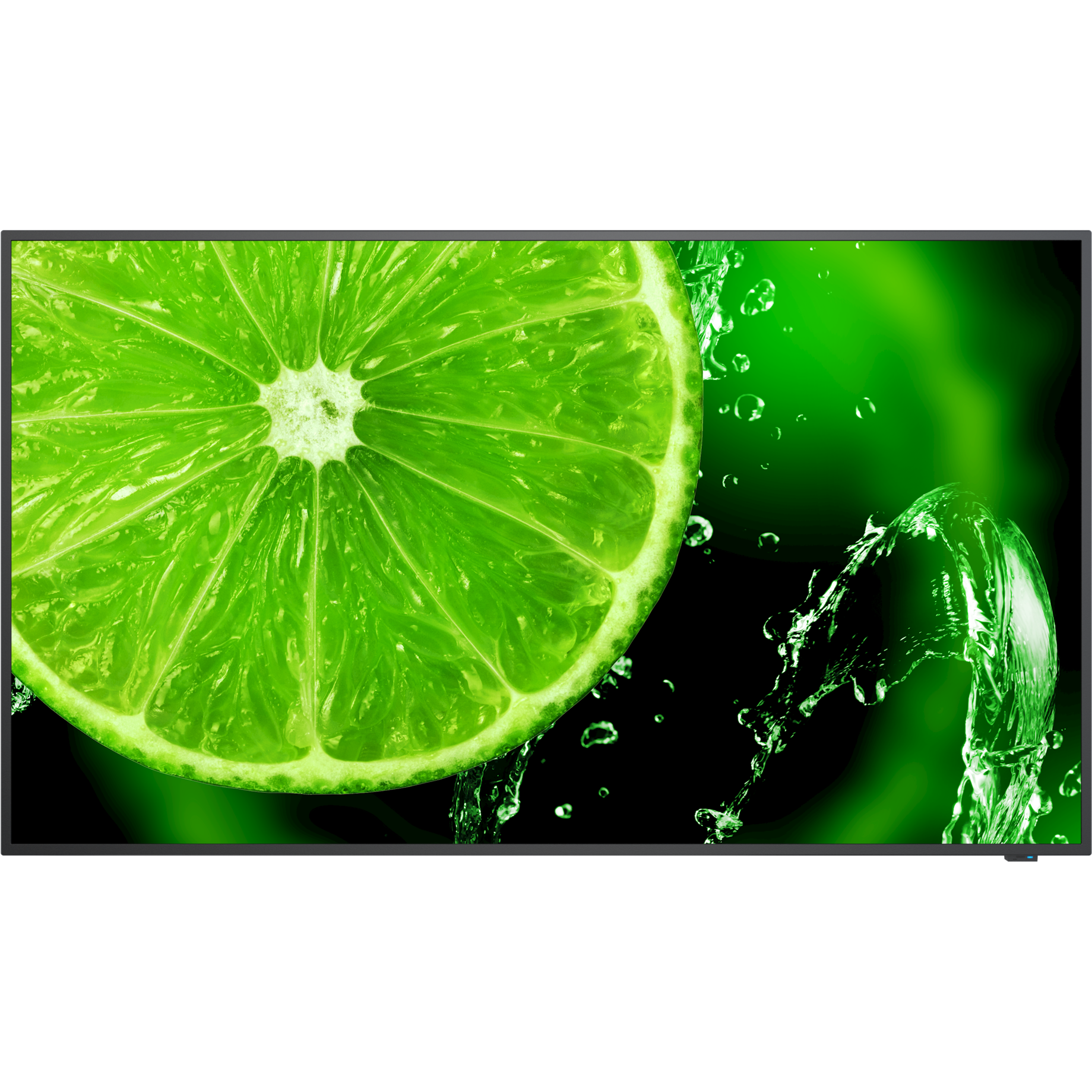 LED Monitor MultiSync® E Series