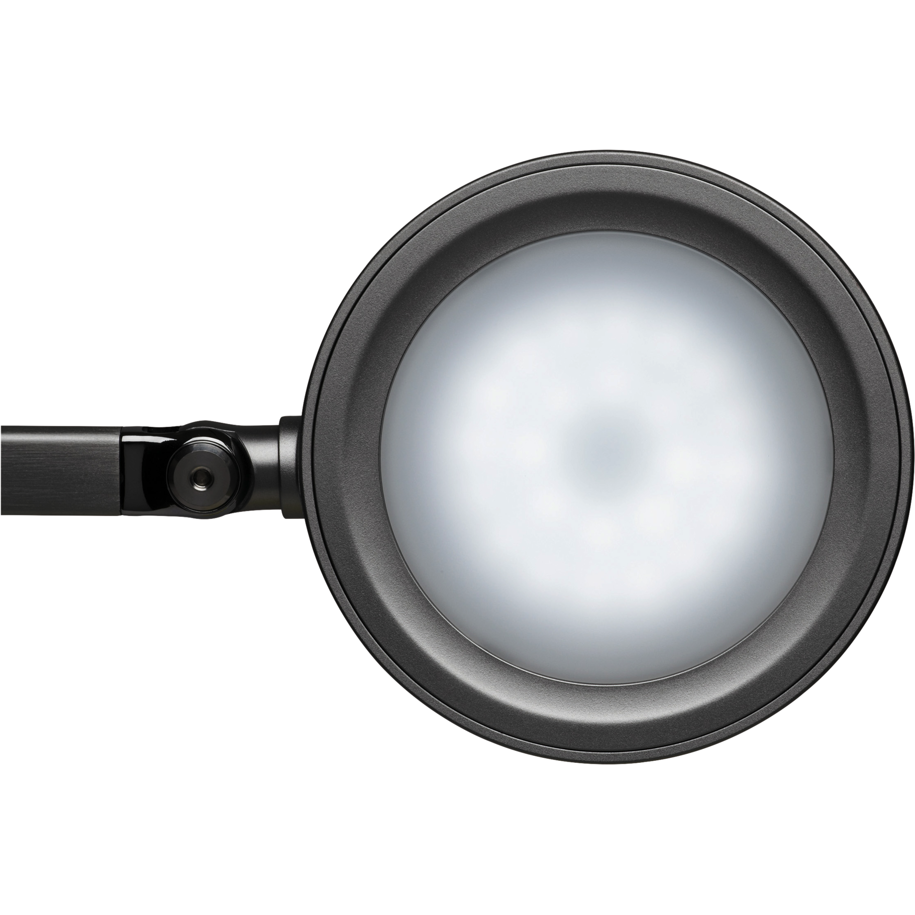 LED-Tischleuchte MAULgrace colour vario, dimmbar