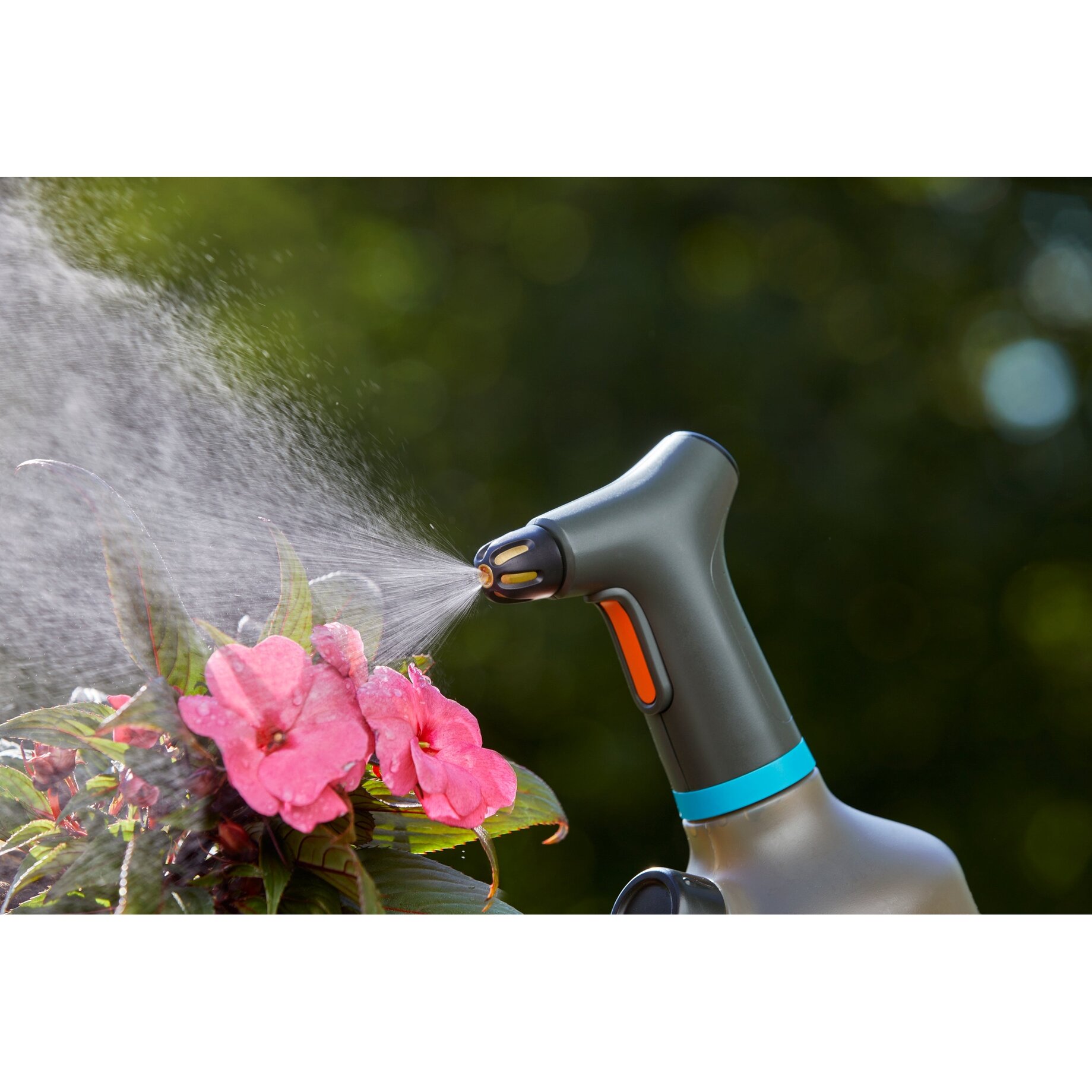 Sinken, Waschbeckenhahn, Blume, Pflanze