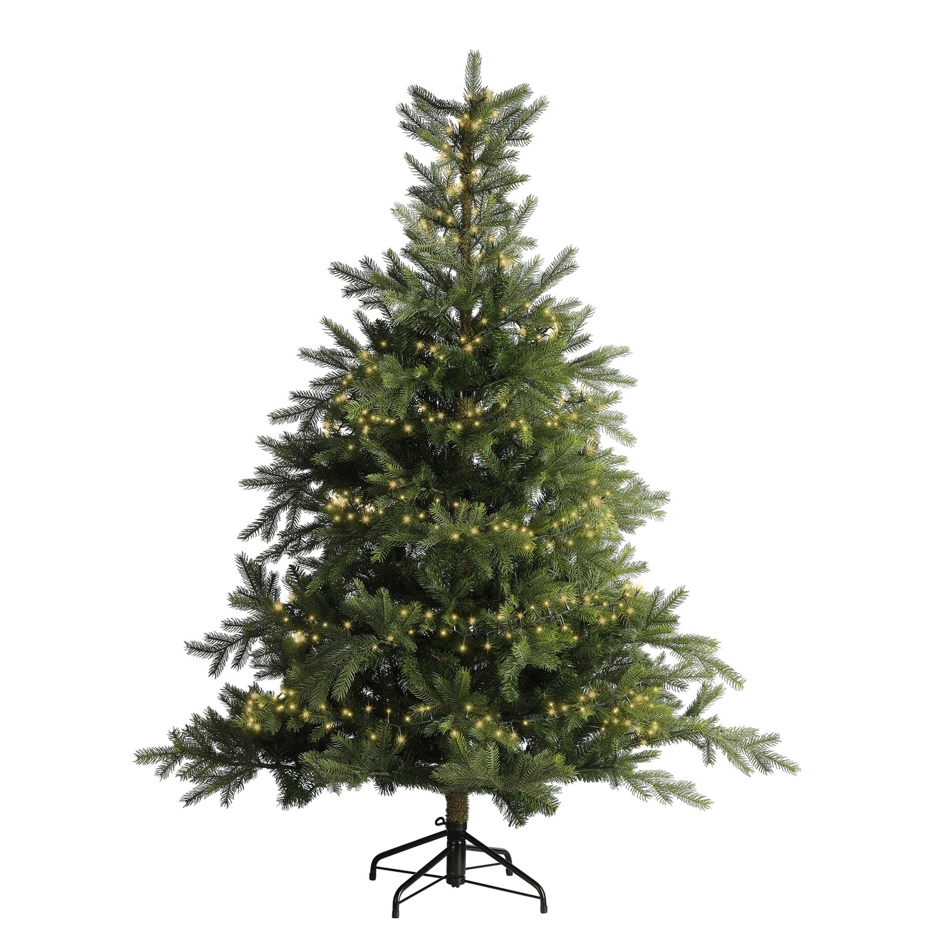 Pflanze, Baum, Kiefer, Weihnachtsdekorationen, Festival