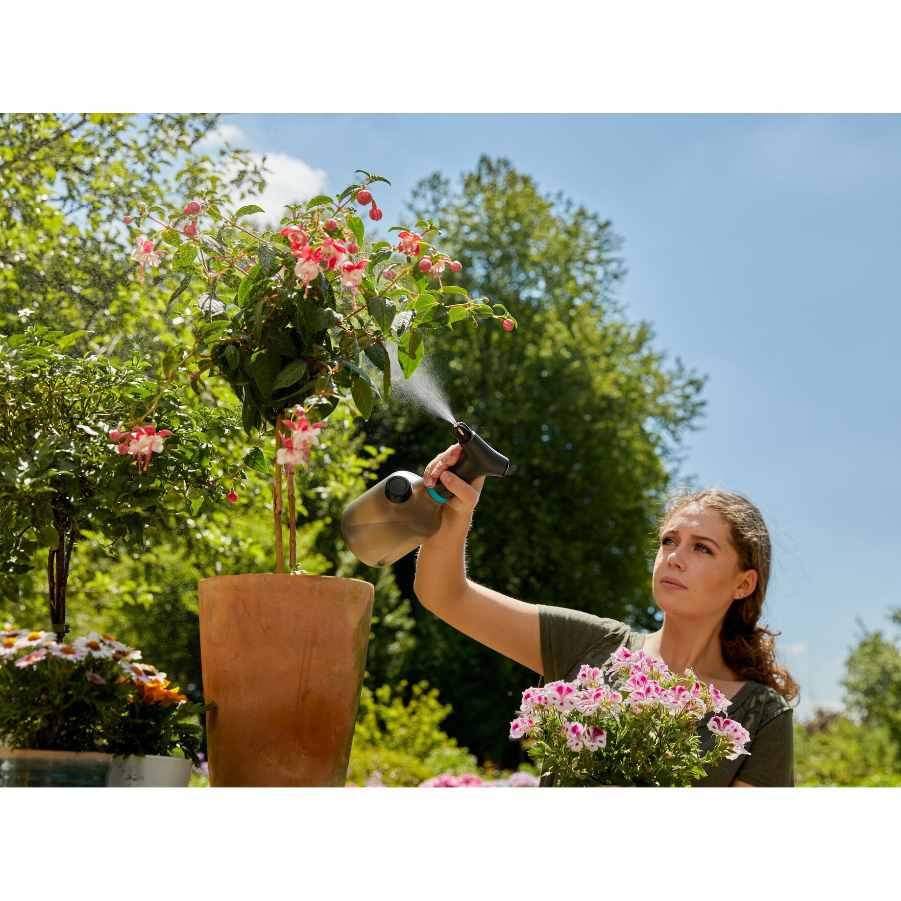Garten, Natur, Draußen, Topfpflanze, Innenarchitektur