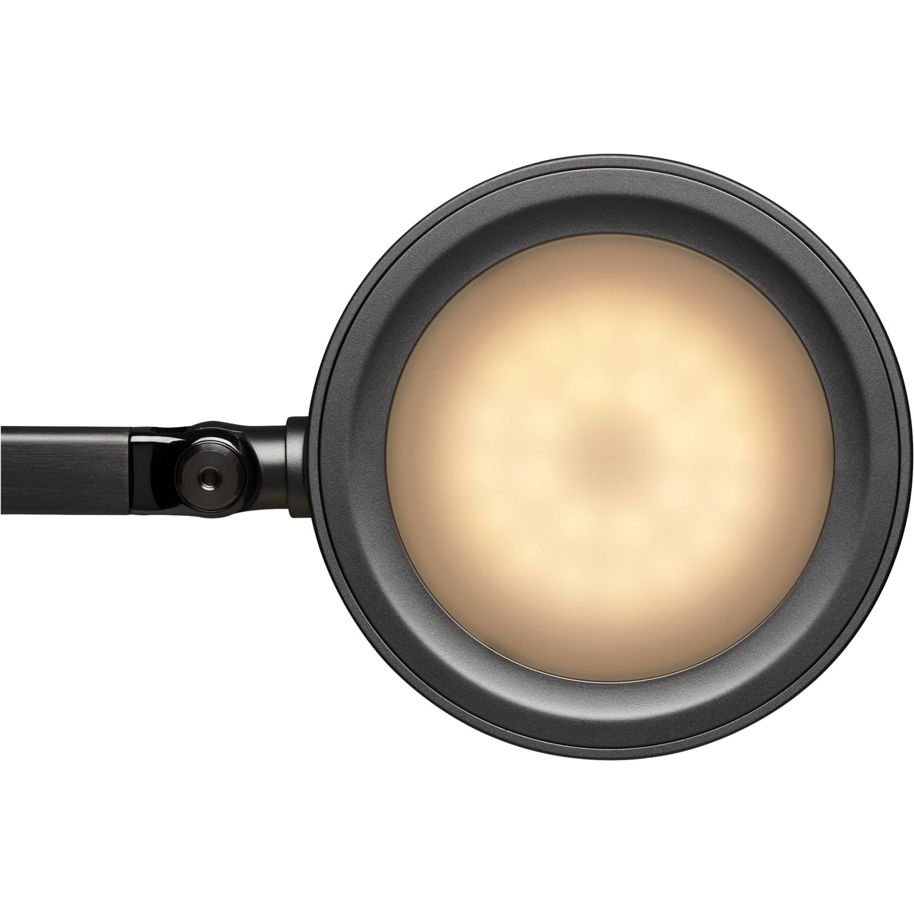 LED-Tischleuchte MAULgrace colour vario, dimmbar