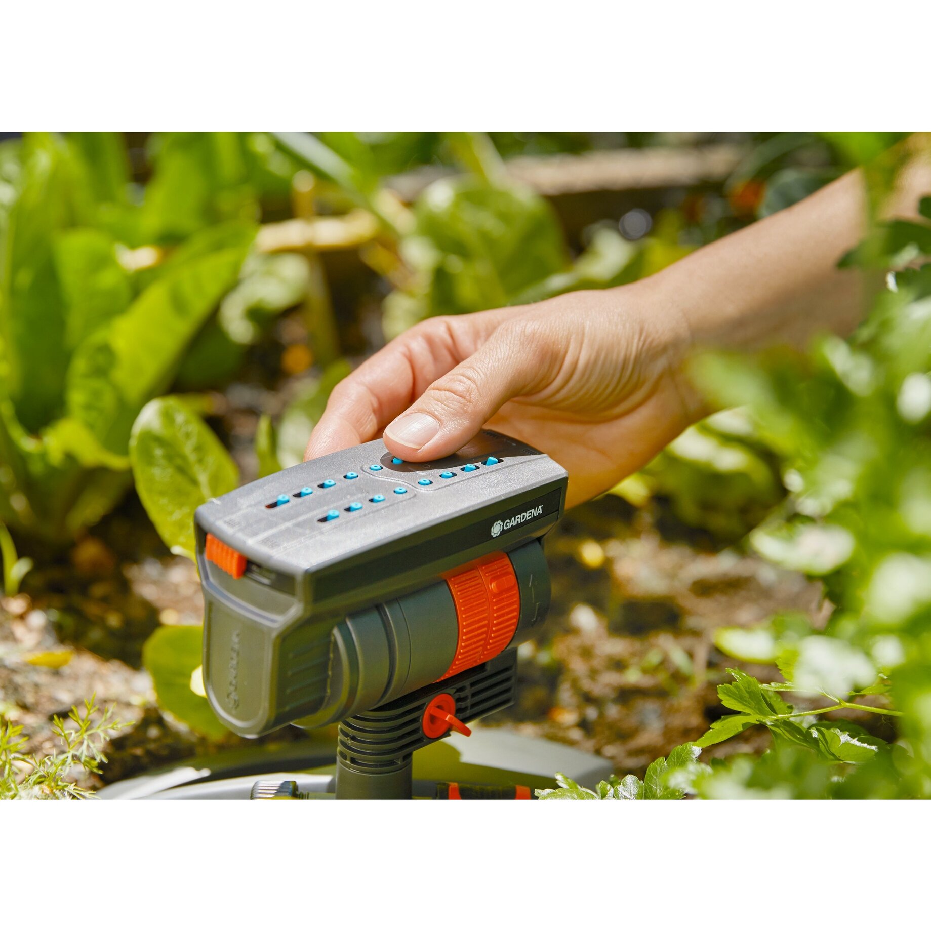 bewässerung, garten sprenger, bewässerungssteuerung, handbedienelement, außenbereich bewässerung, Gartenbewässerung, Sprühgerät, Filterpumpe, Gartenbewässerungssystem, Beregner