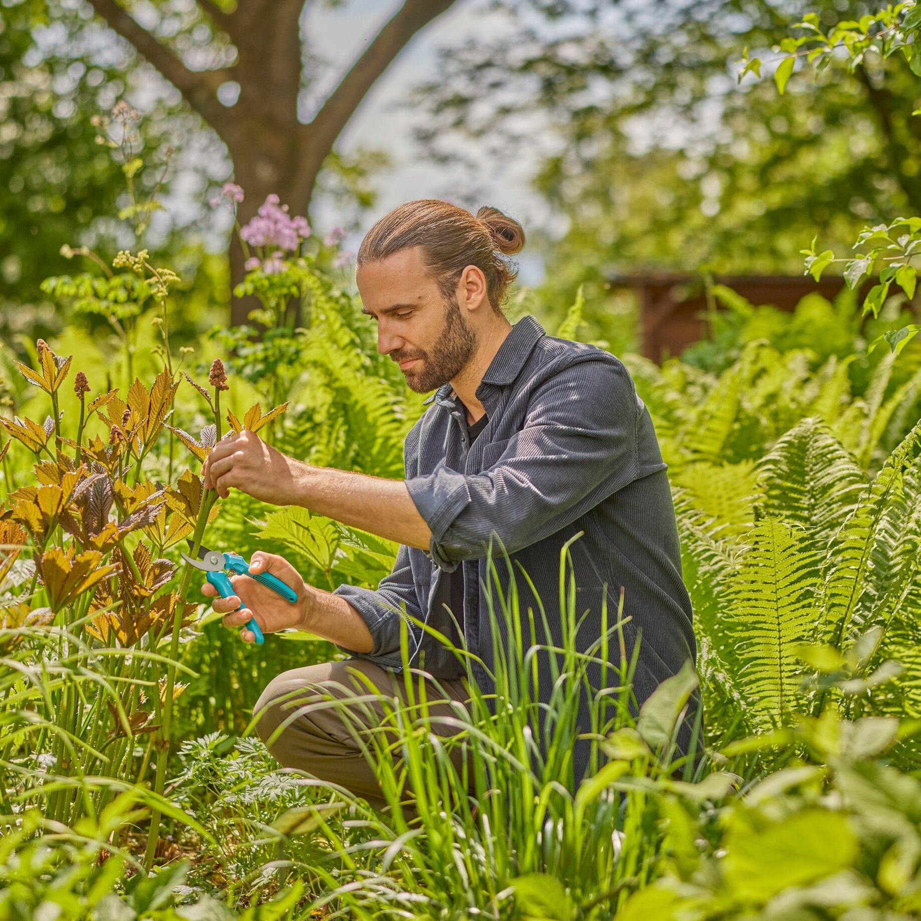 Garten, Person, Sitzen, Gartenarbeit, Mann