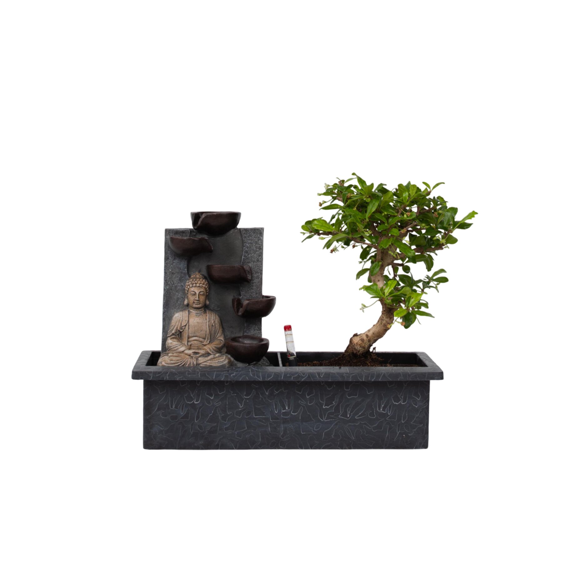 bonsai tree grow light GroCruiser 2000 Lumen Desk Grow Light main image 1