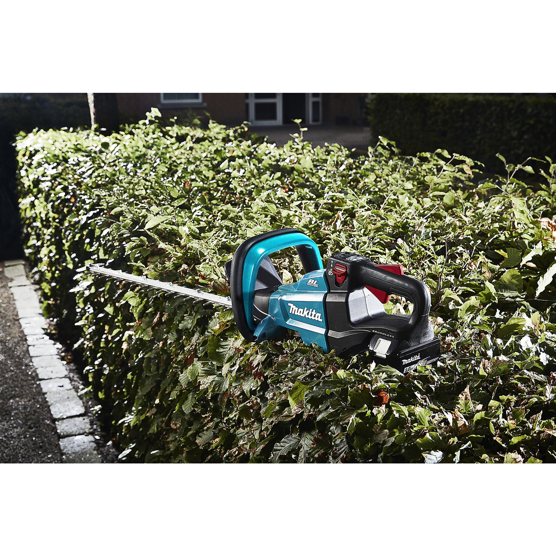 Zaun, Hecke, Pflanze, Gerät