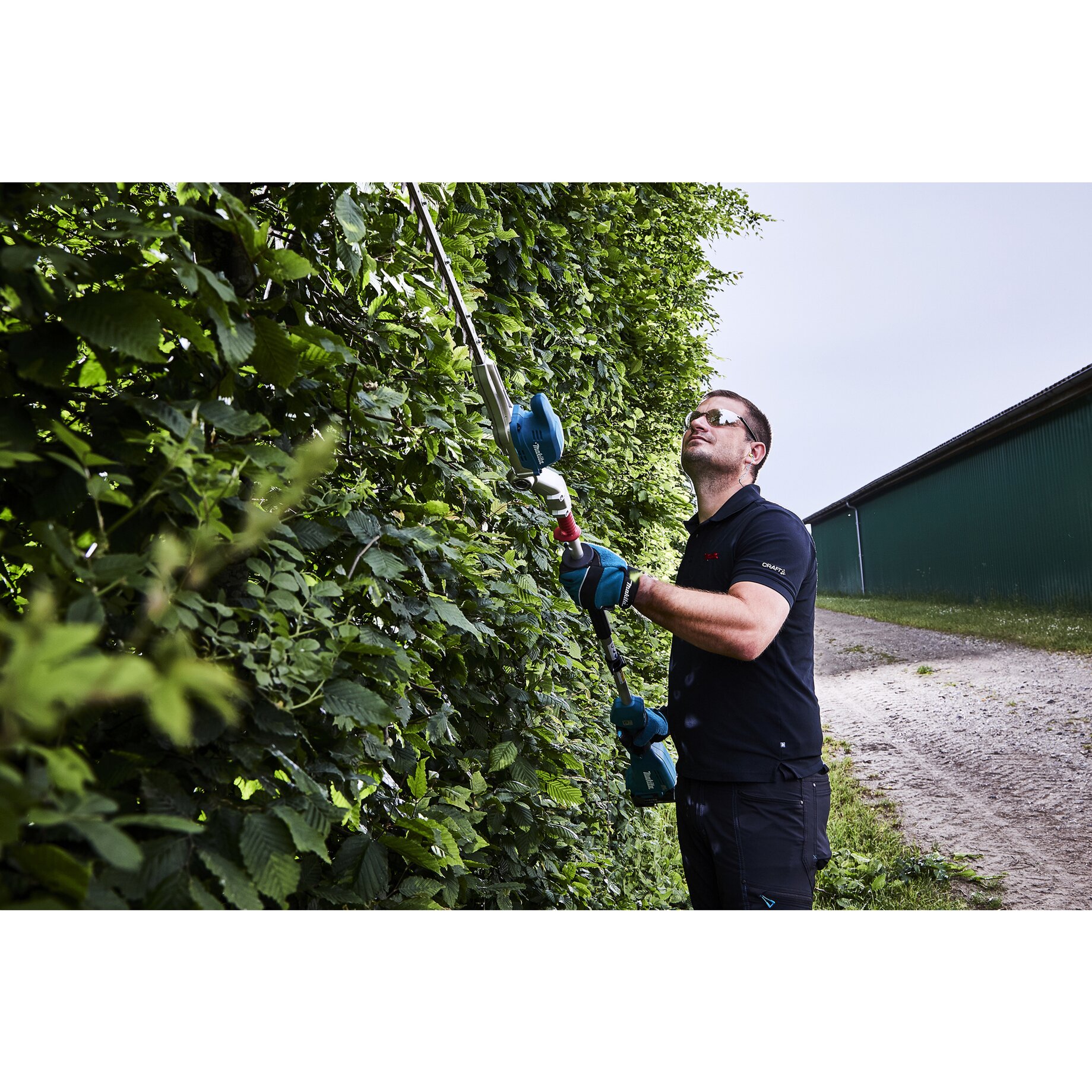 Garten, Natur, Draußen, Gartenarbeit, Hecke