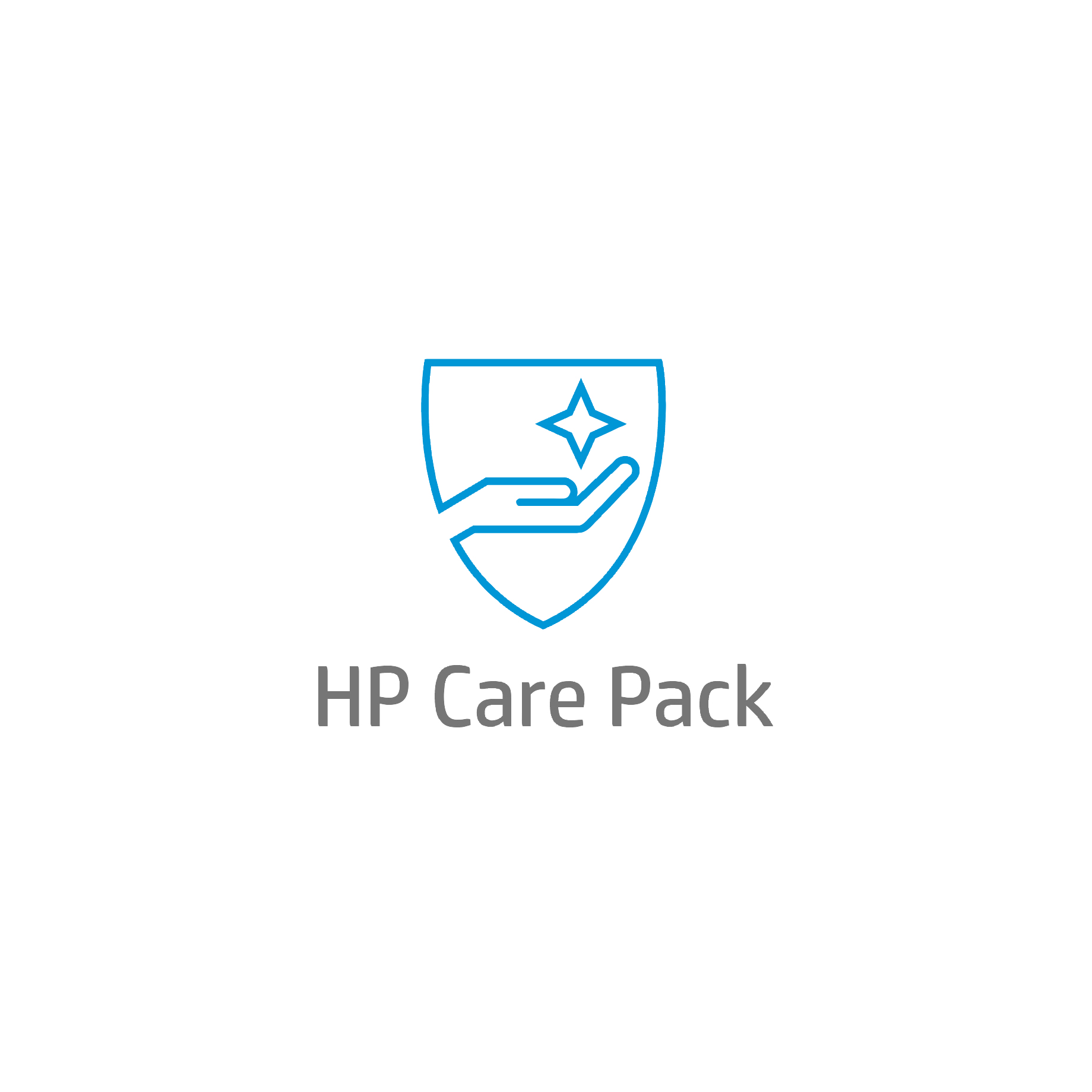 HP CarePack 4 Jahre Vor-Ort Service am nächsten Arbeitstag