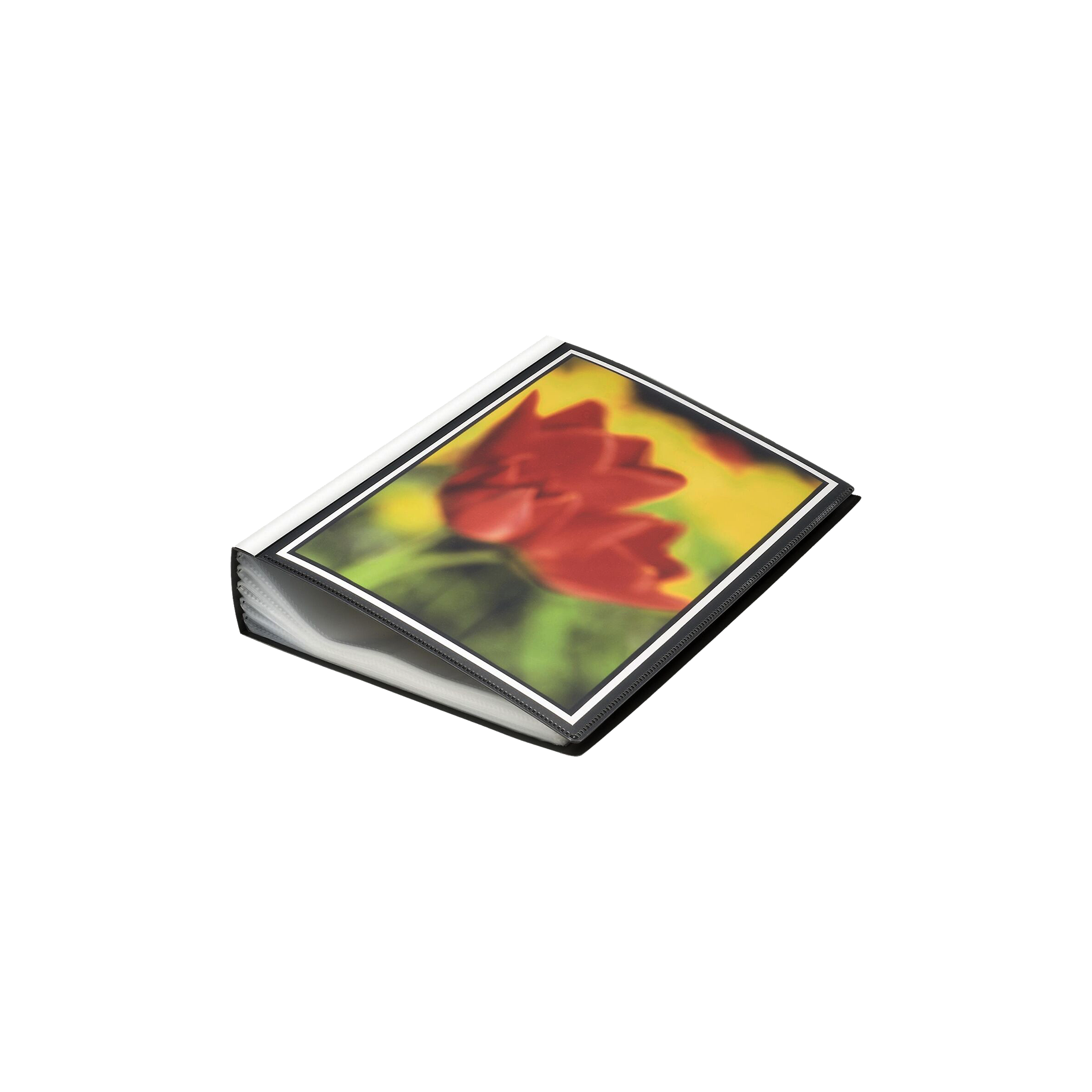 DURABLE Sichtbuch DURALOOK® PLUS