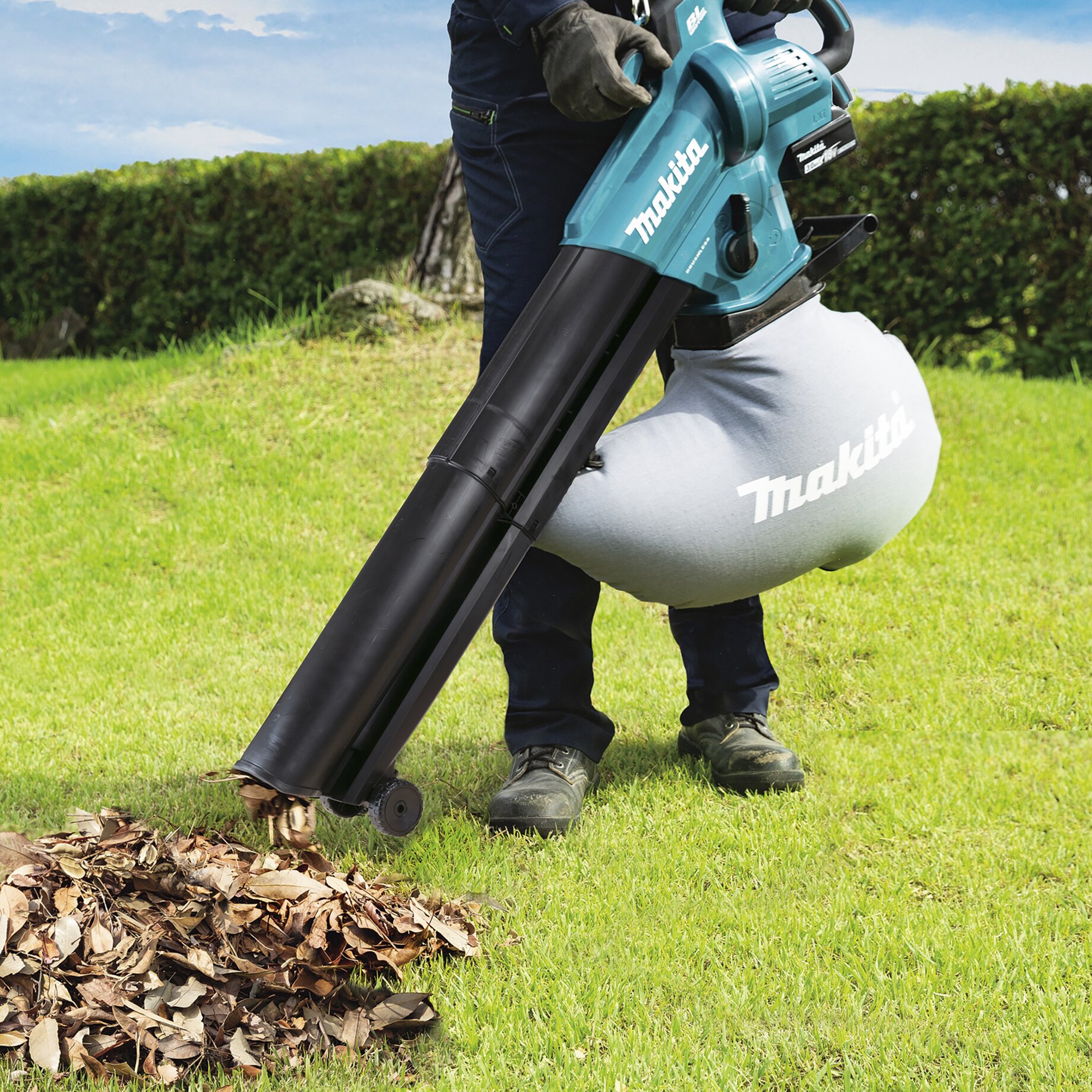 Gras, Pflanze, Rasen, Gerät, Elektrische Bohrmaschine