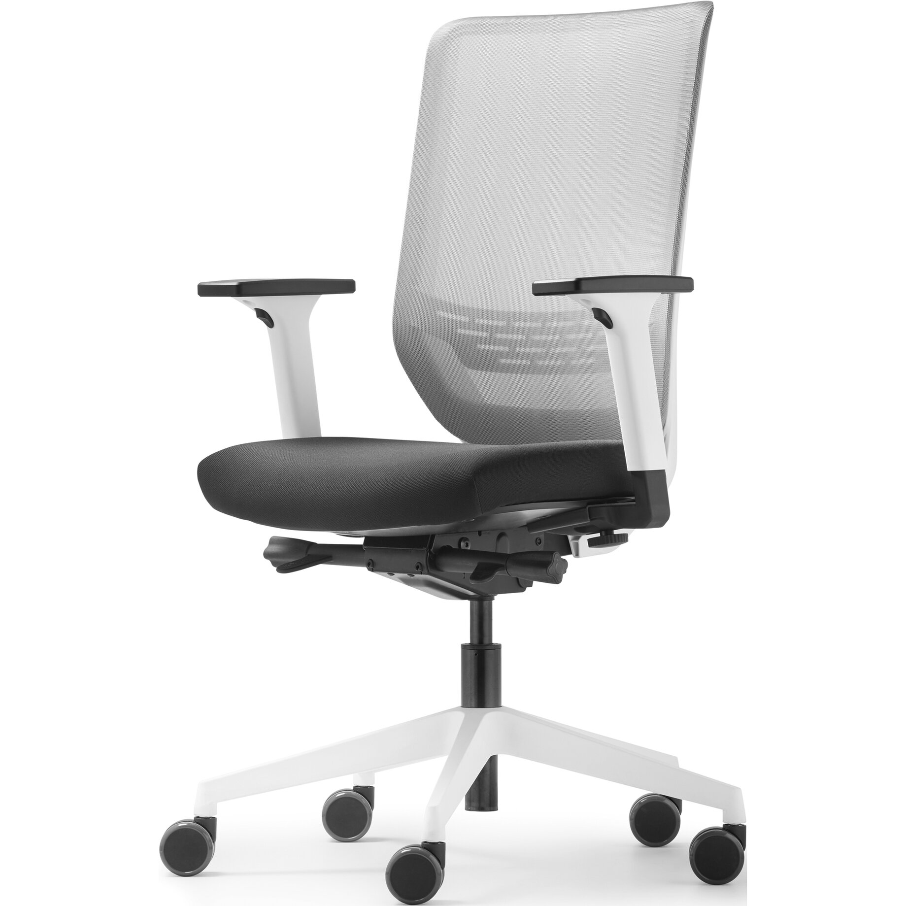 Kissen, Dekoration für Zuhause, Mobiliar, Stuhl