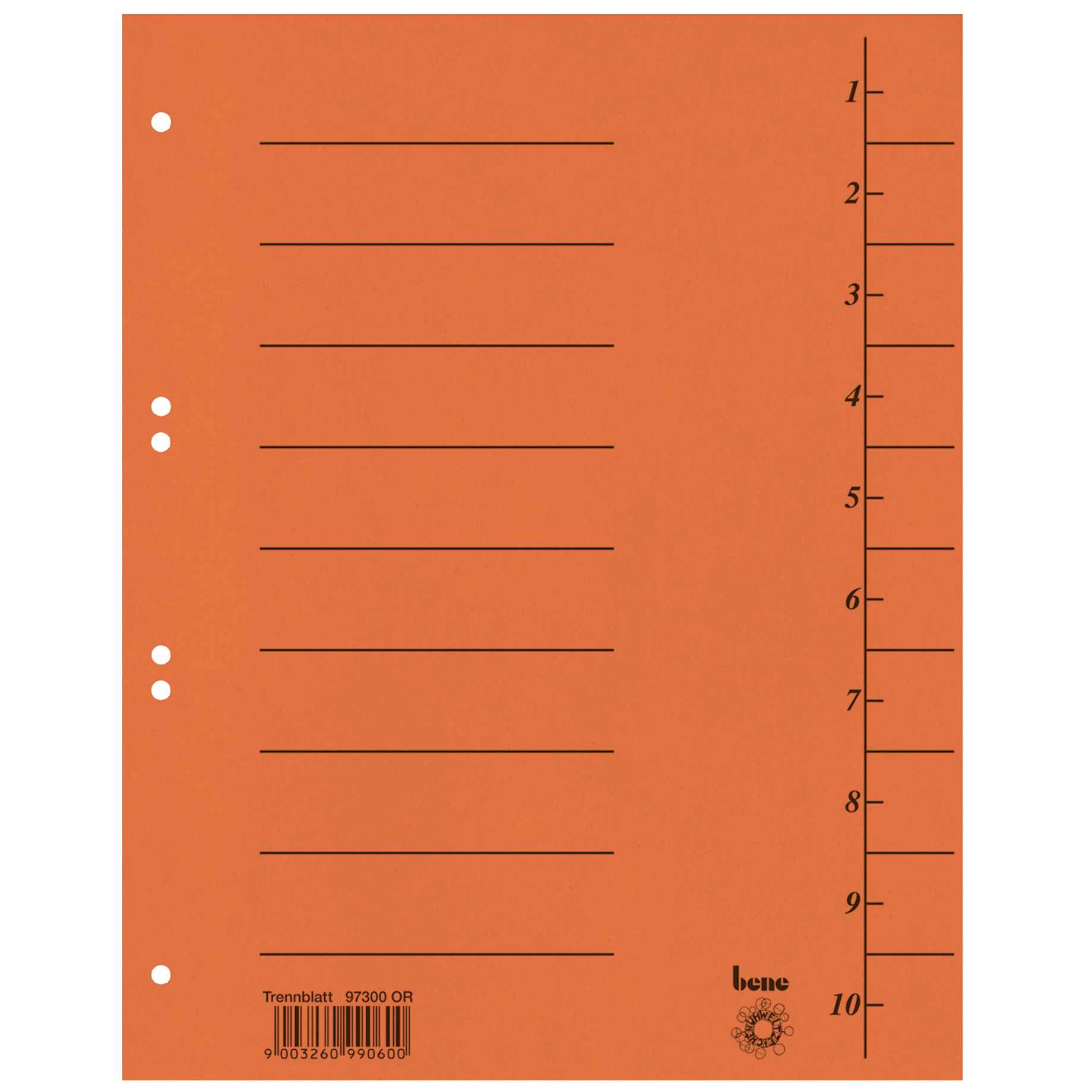 Seite, Text