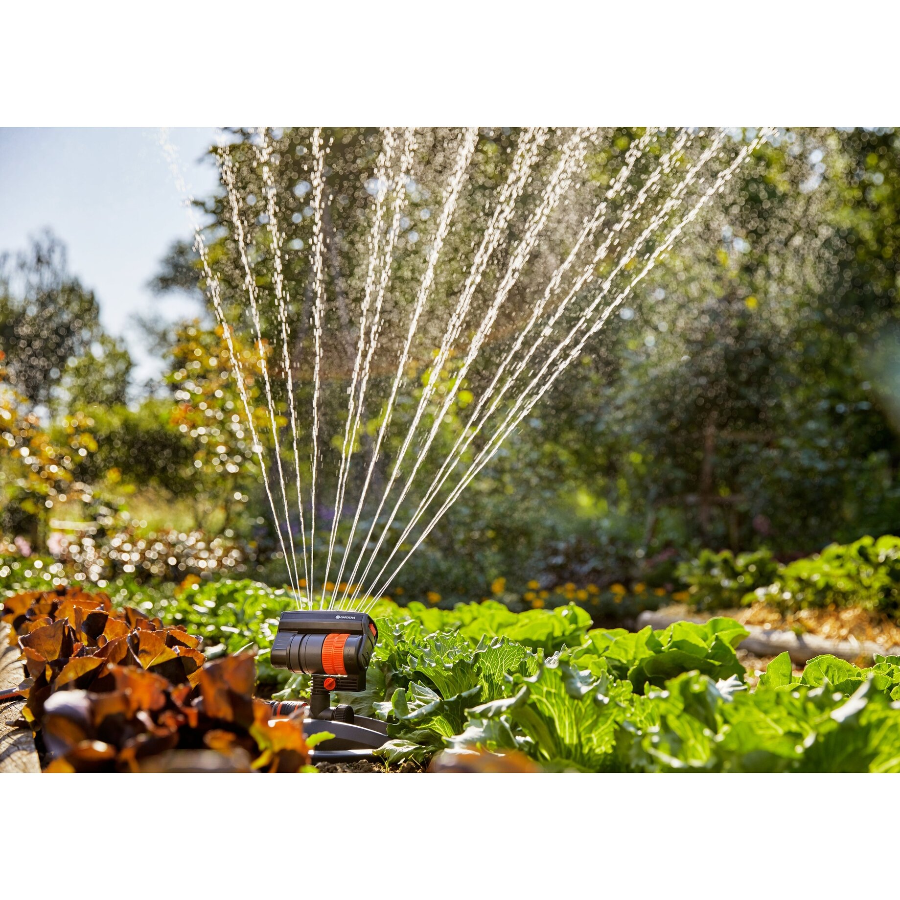 bewässerungsanlage, bewässerer, sprinkler, gartenbewässerung, schlauchanschluss,  Bewässerung, Gartenbewässerung, Sprinkler, Wasserspray, Schlauchverbinder