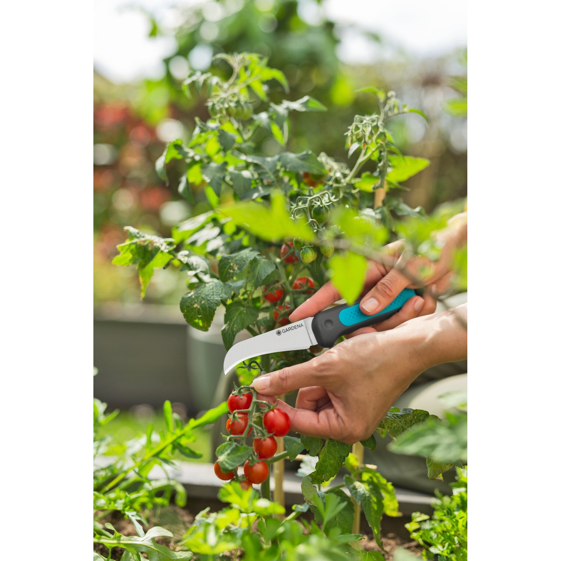 Garten, Natur, Draußen, Gartenarbeit, Schere