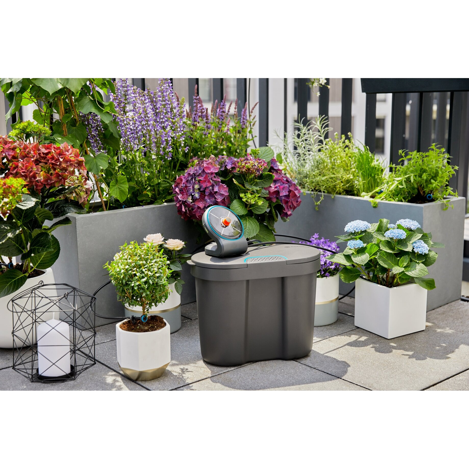 Pflanze, Pflanze im Topf, Innenarchitektur, Garten, Pflanzgefäß
