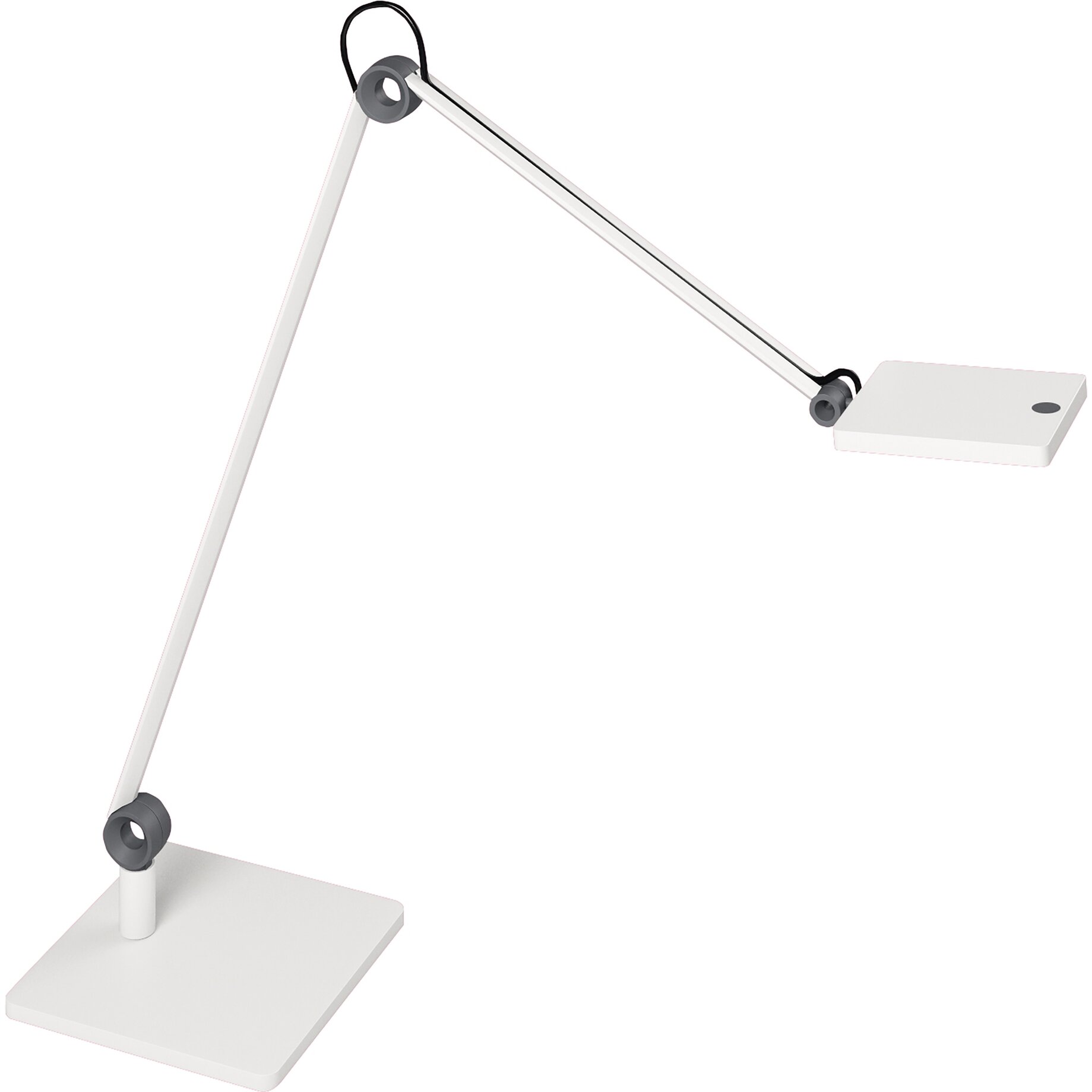 Lampe, Lampenschirm
