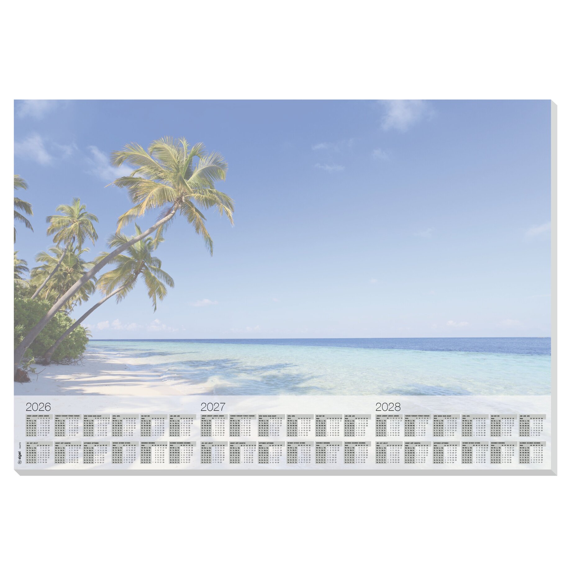 Sommer, Strand, Meer, Baum, Palme