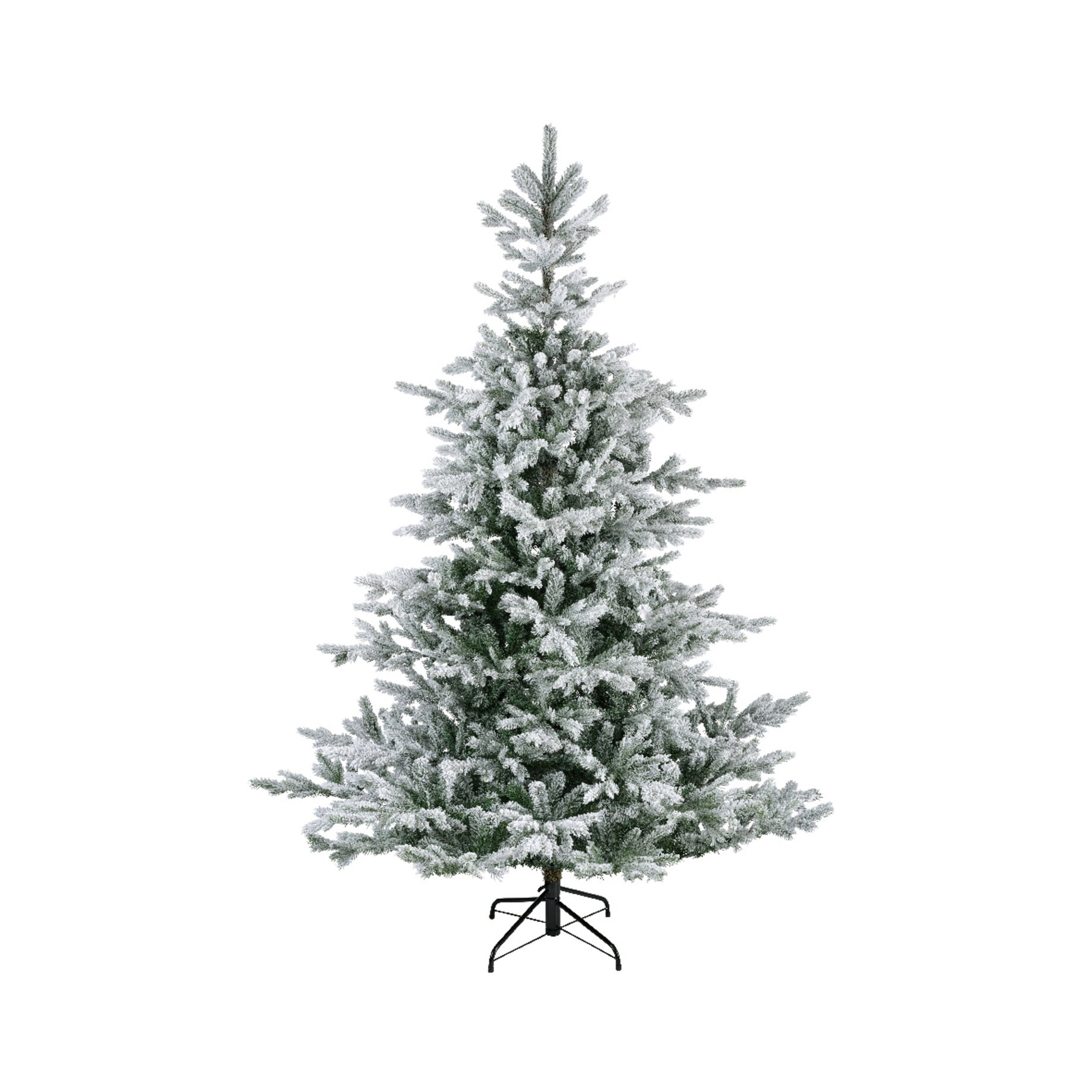 Pflanze, Baum, Kiefer, Weihnachtsdekorationen, Festival