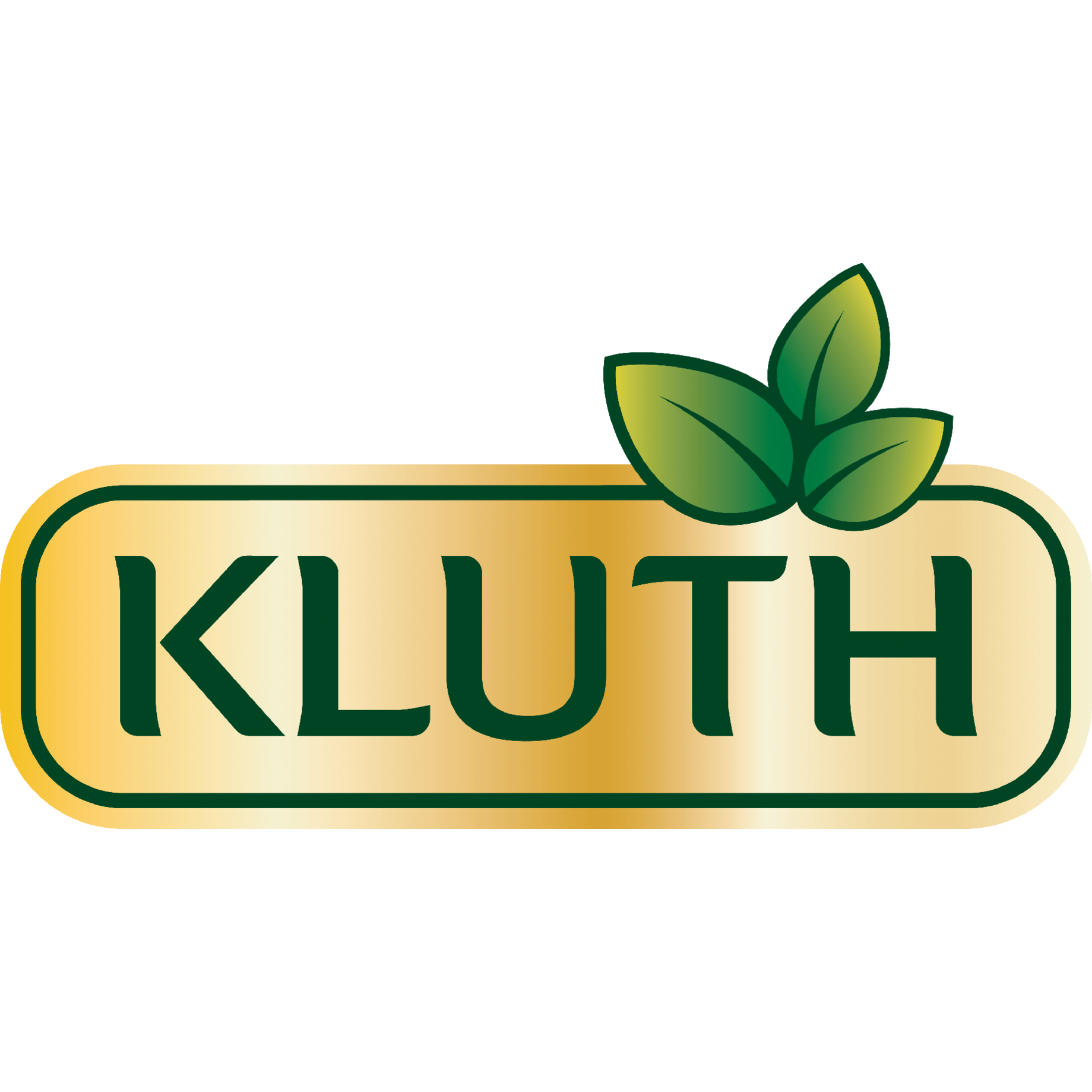 Kluth