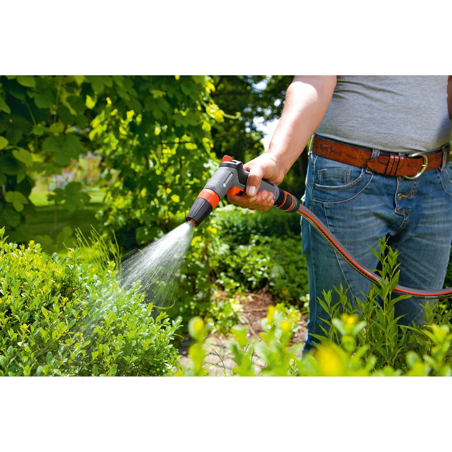 Garten, Natur, Draußen, Gartenarbeit, Person