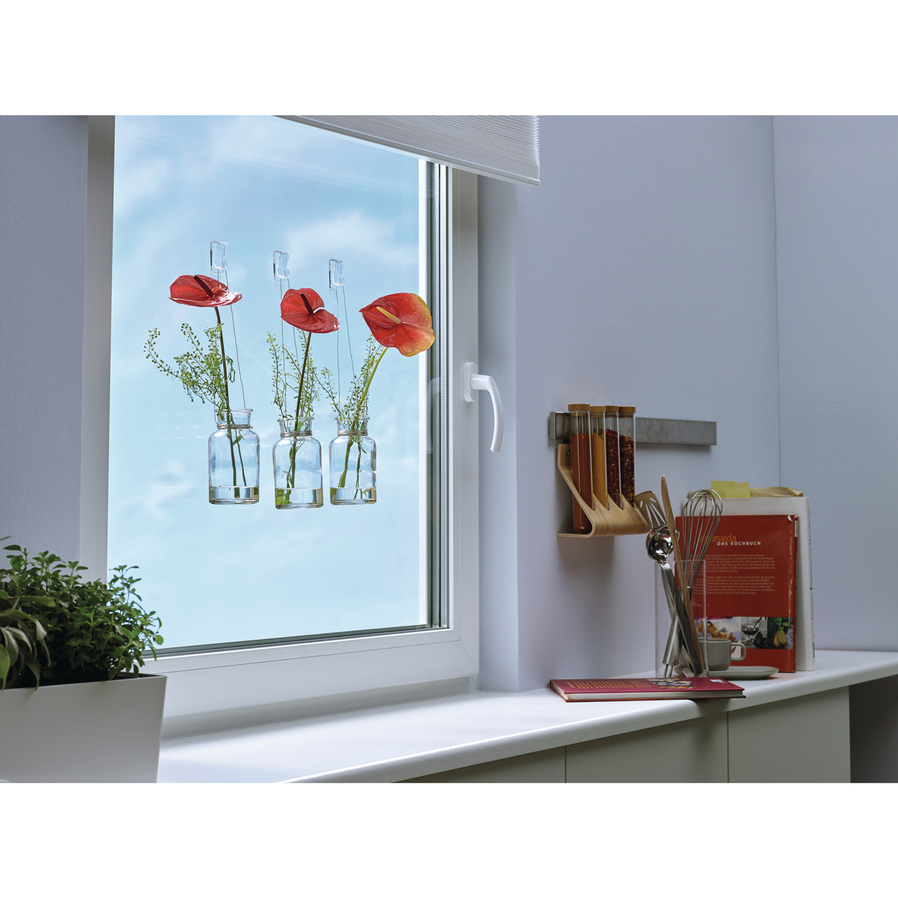 Fenster, Fensterbank, Pflanze
