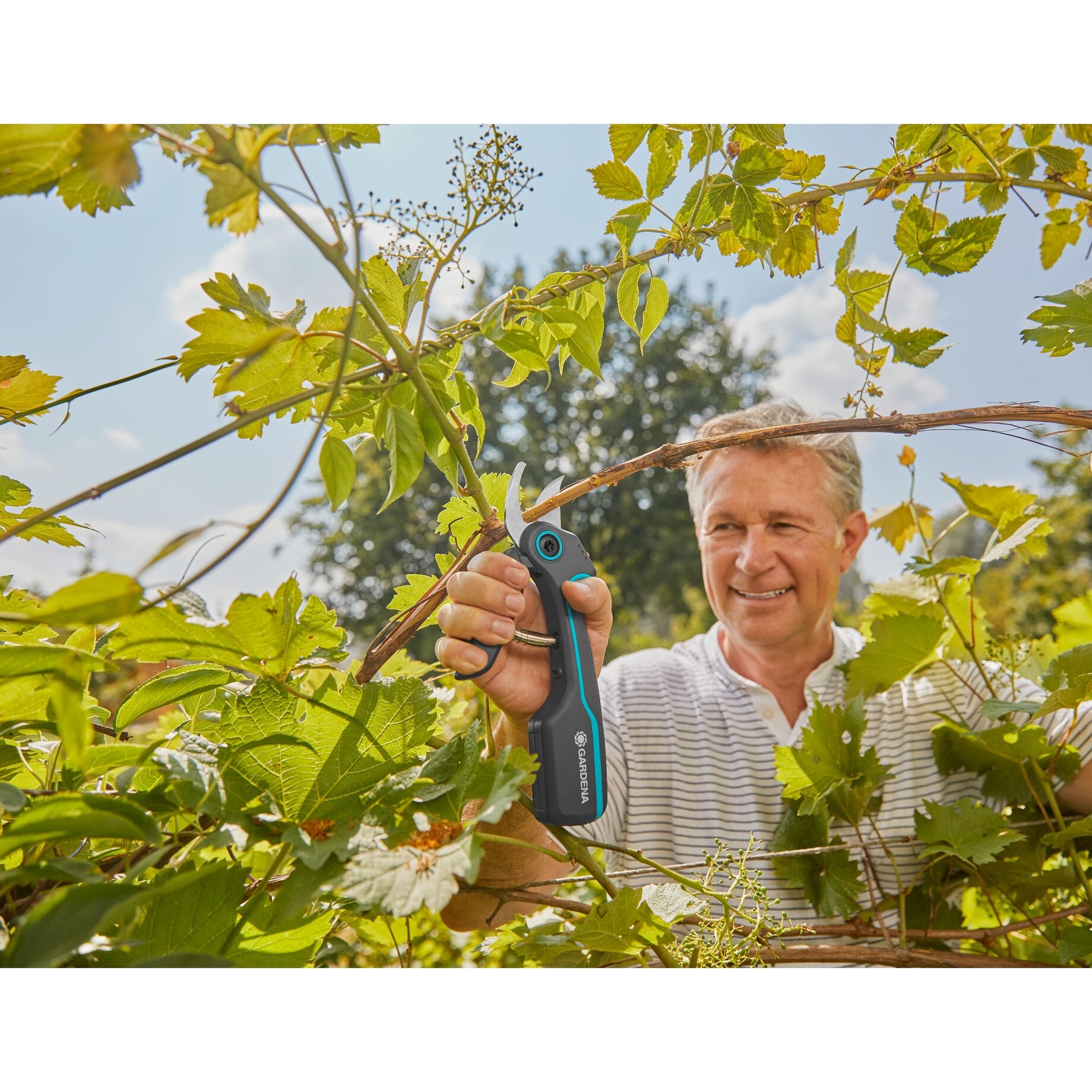 Natur, Draußen, Garten, Drinnen, Innenarchitektur