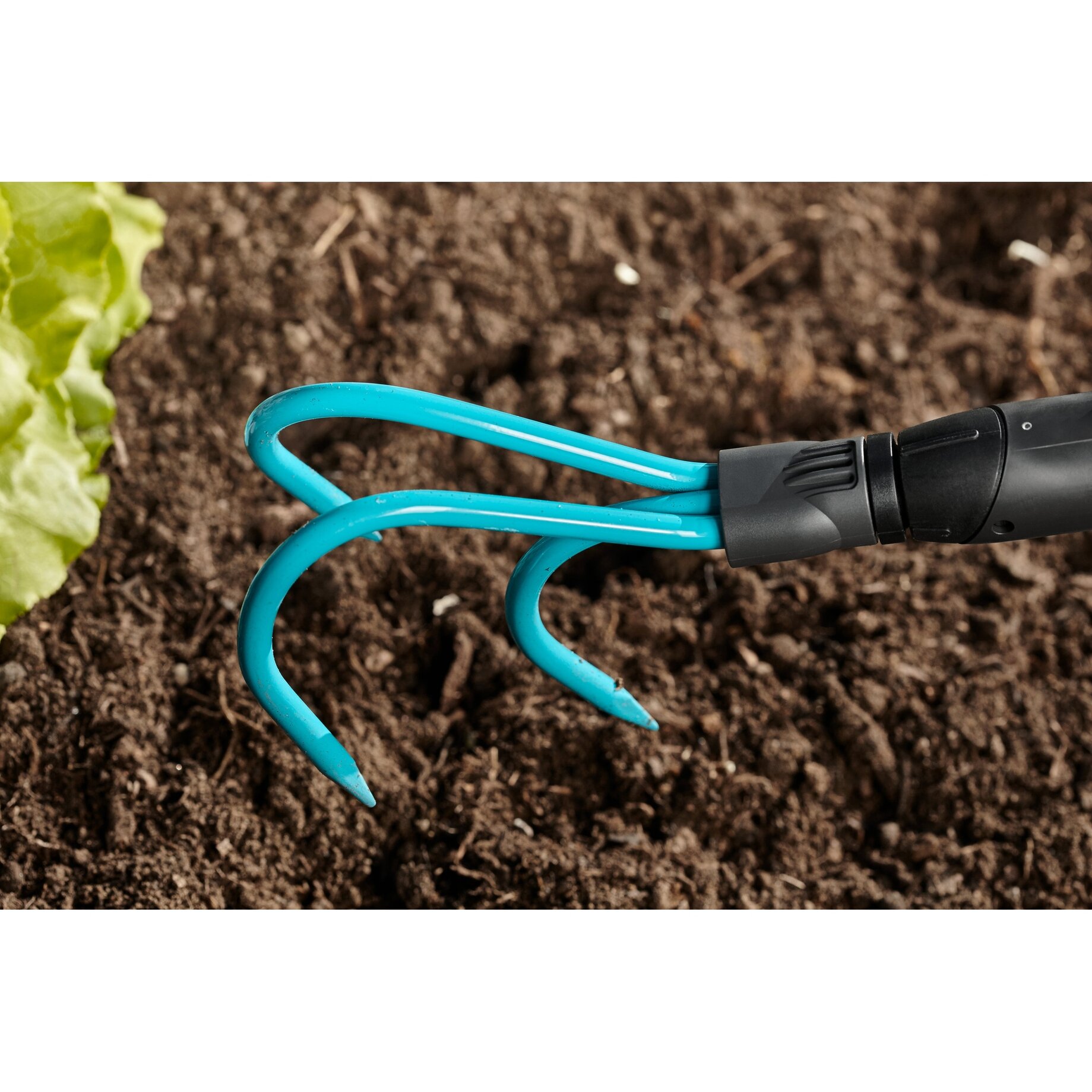 Boden, Garten, Natur, Draußen