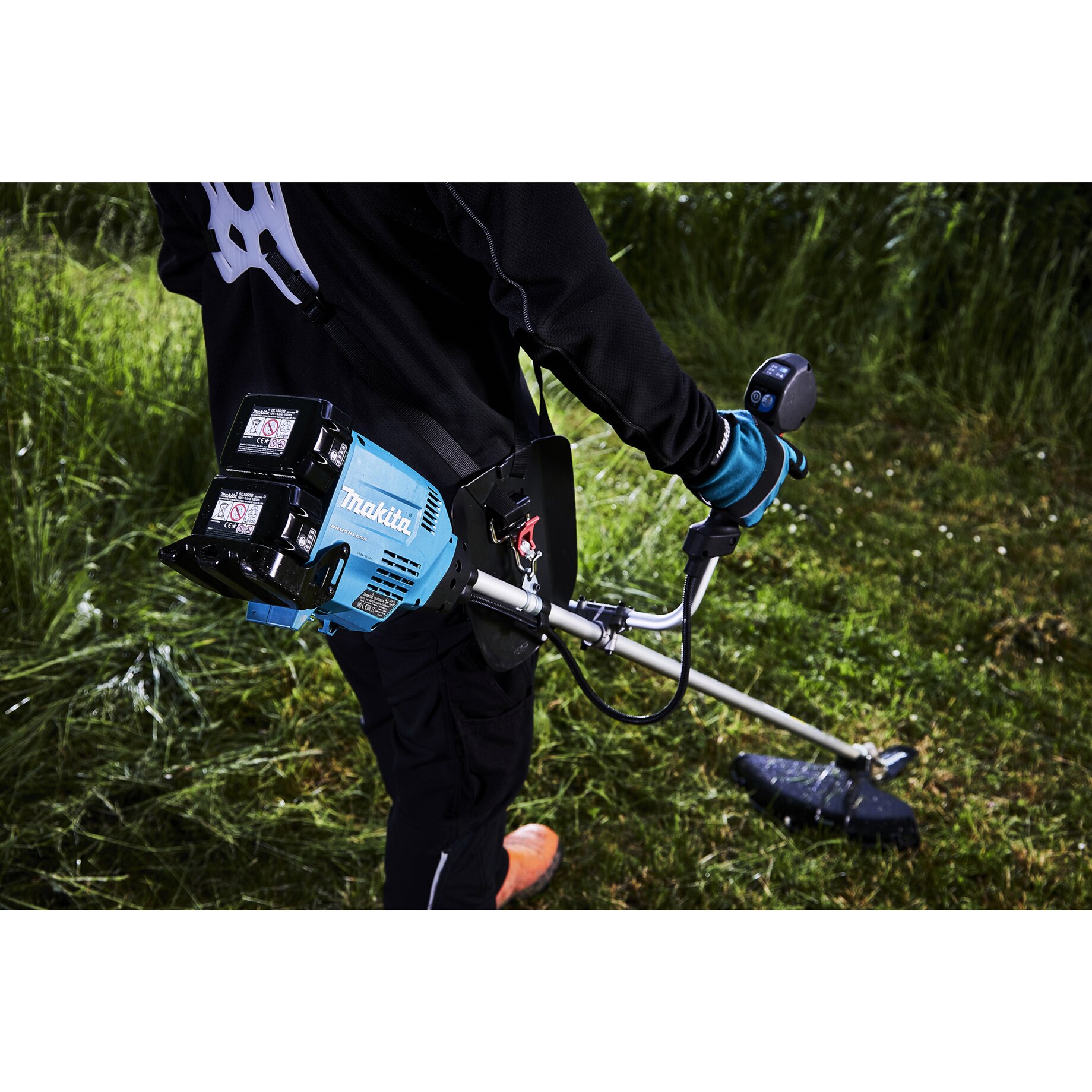 Gras, Pflanze, Rasen, Gerät
