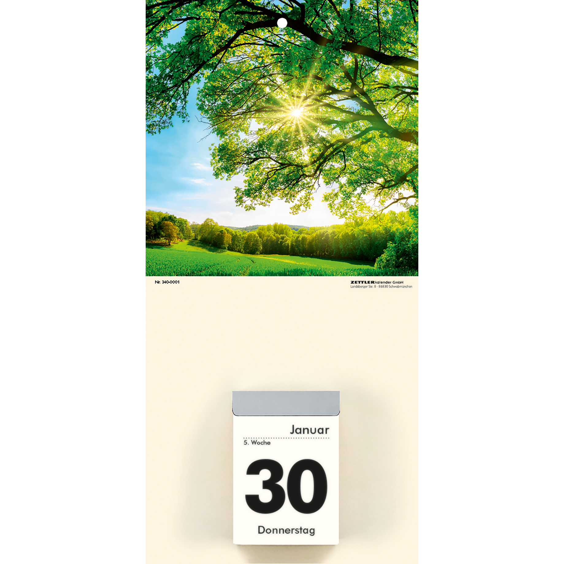 Bildrückwand 340 mit Naturmotiven