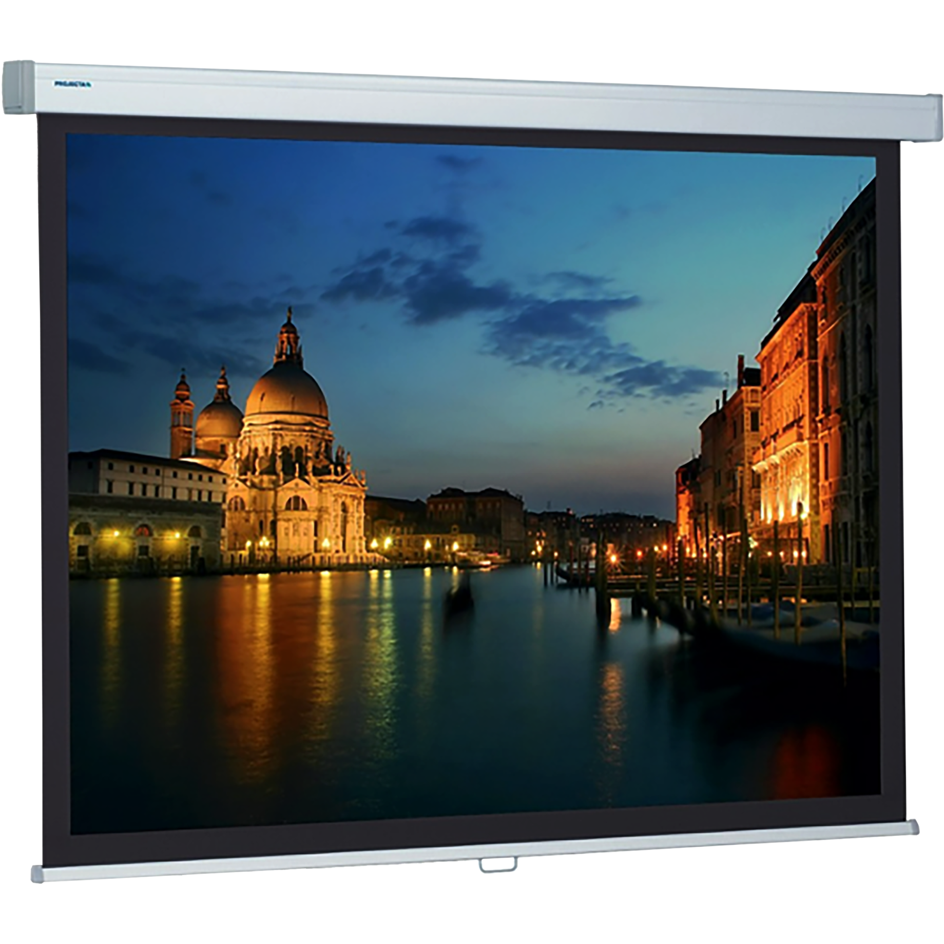 Projektionsleinwand Projecta ProScreen