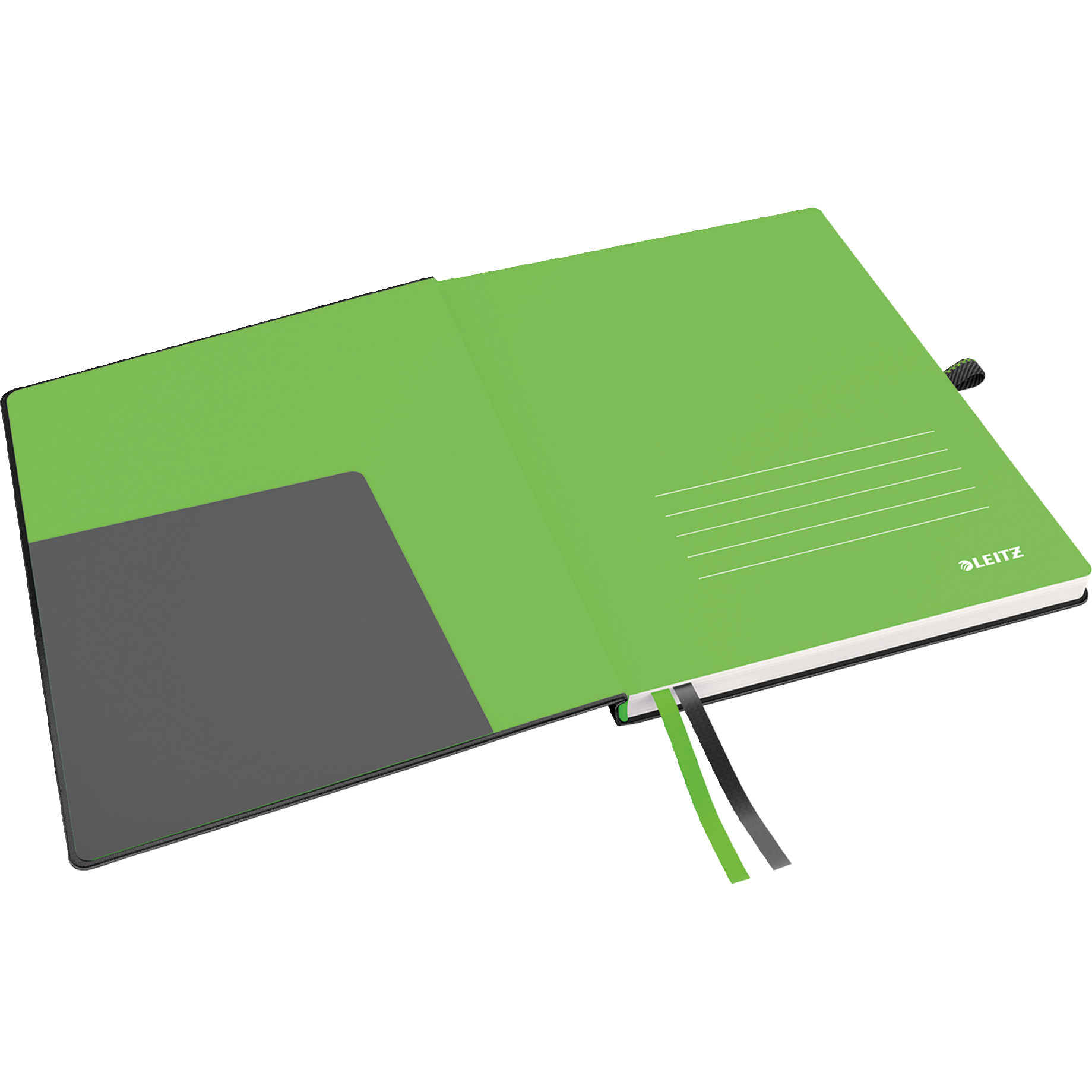 Tagebuch, Tagebuch