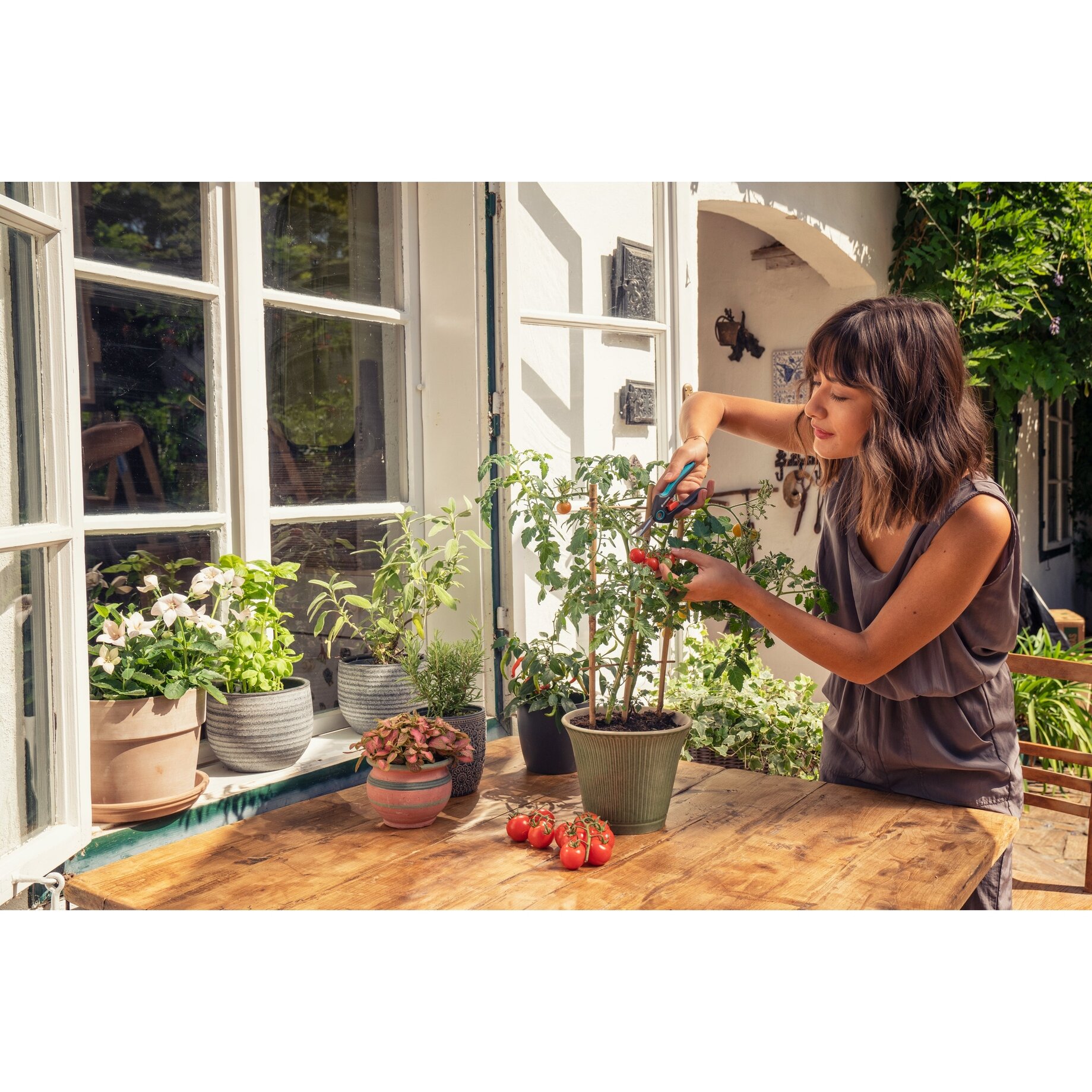 Innenarchitektur, Garten, Natur, Gartenarbeit, Topfpflanze