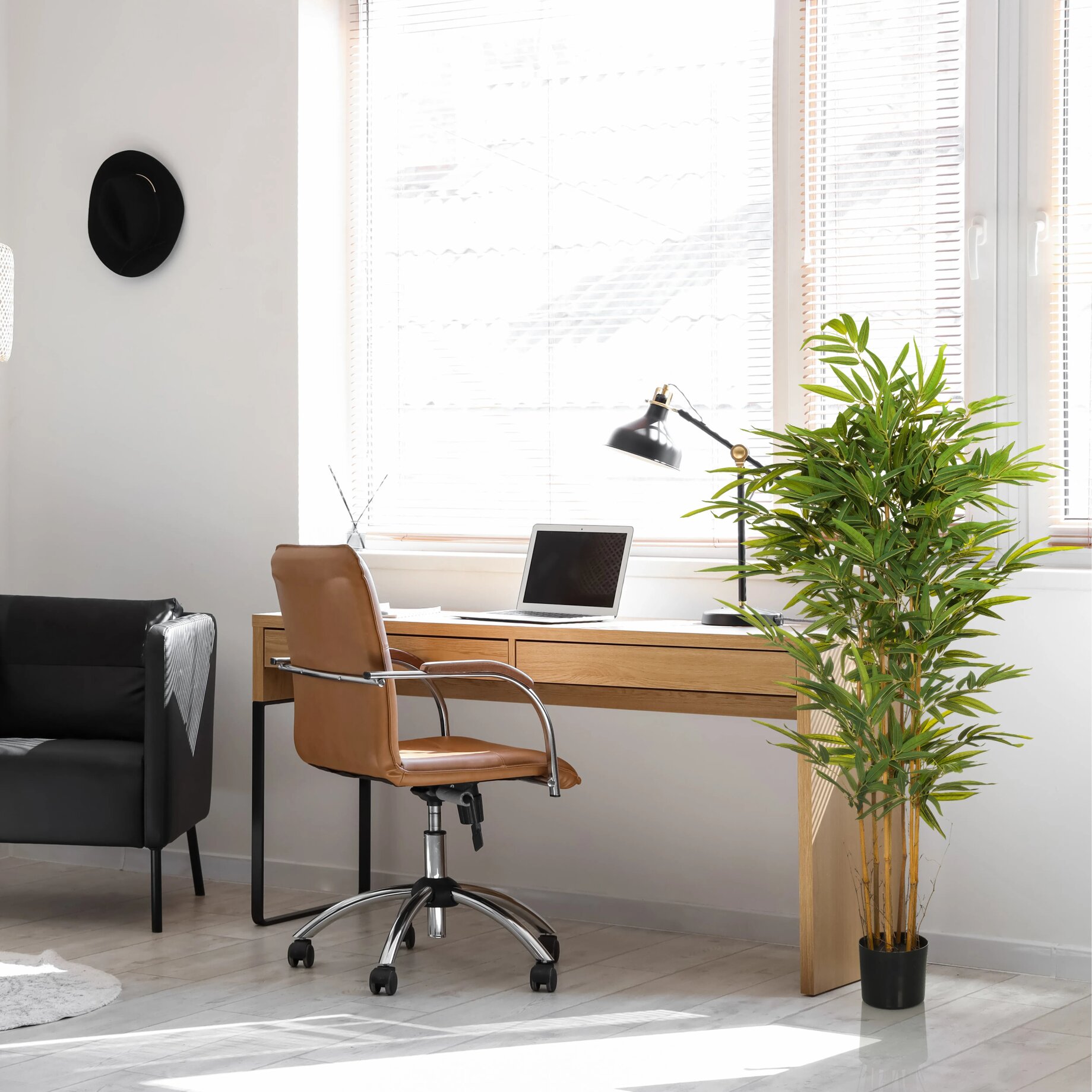 Moebel, Drinnen, Stuhl, Büro, Pflanze