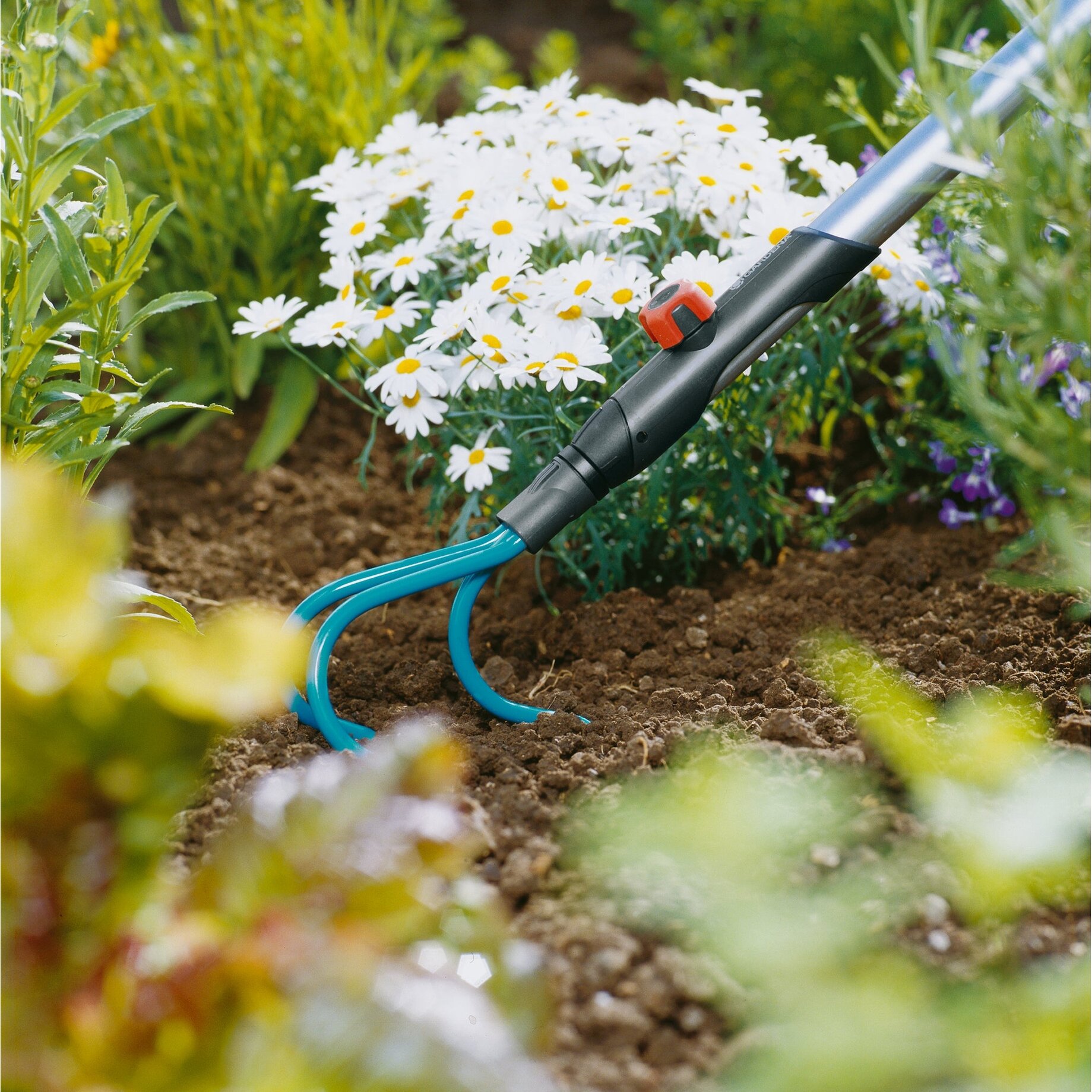 Garten, Natur, Draußen, Gartenarbeit, Boden