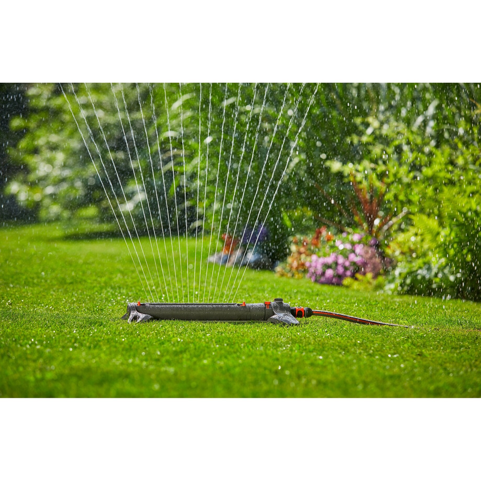 Gras, Pflanze, Wasser, Rasen, Maschine