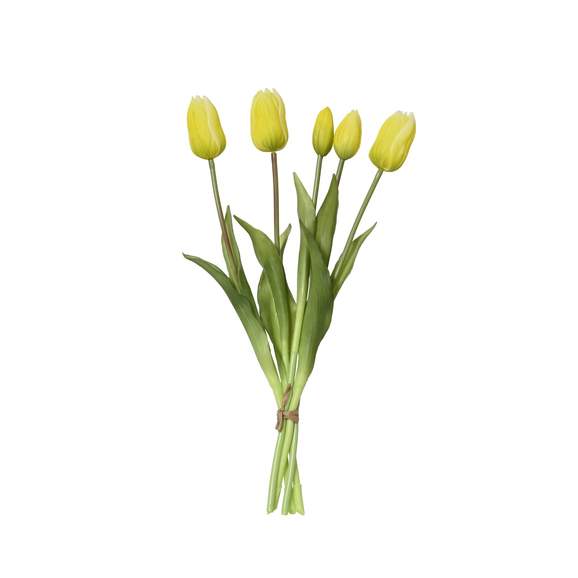 Blume, Pflanze, Tulpe, Blumen-Arrangement