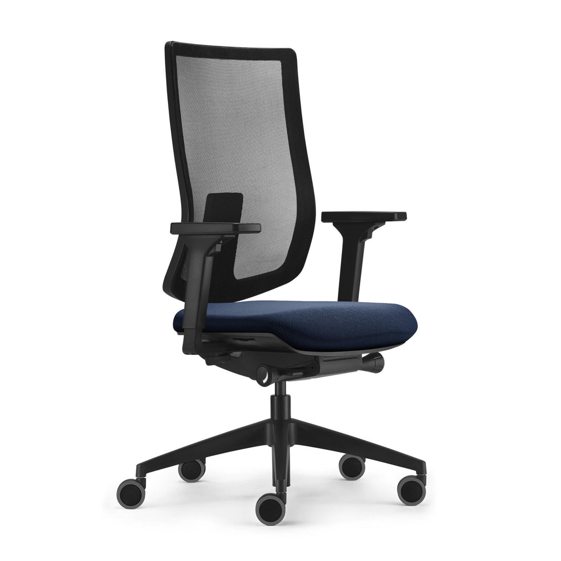 Kissen, Dekoration für Zuhause, Stuhl, Mobiliar