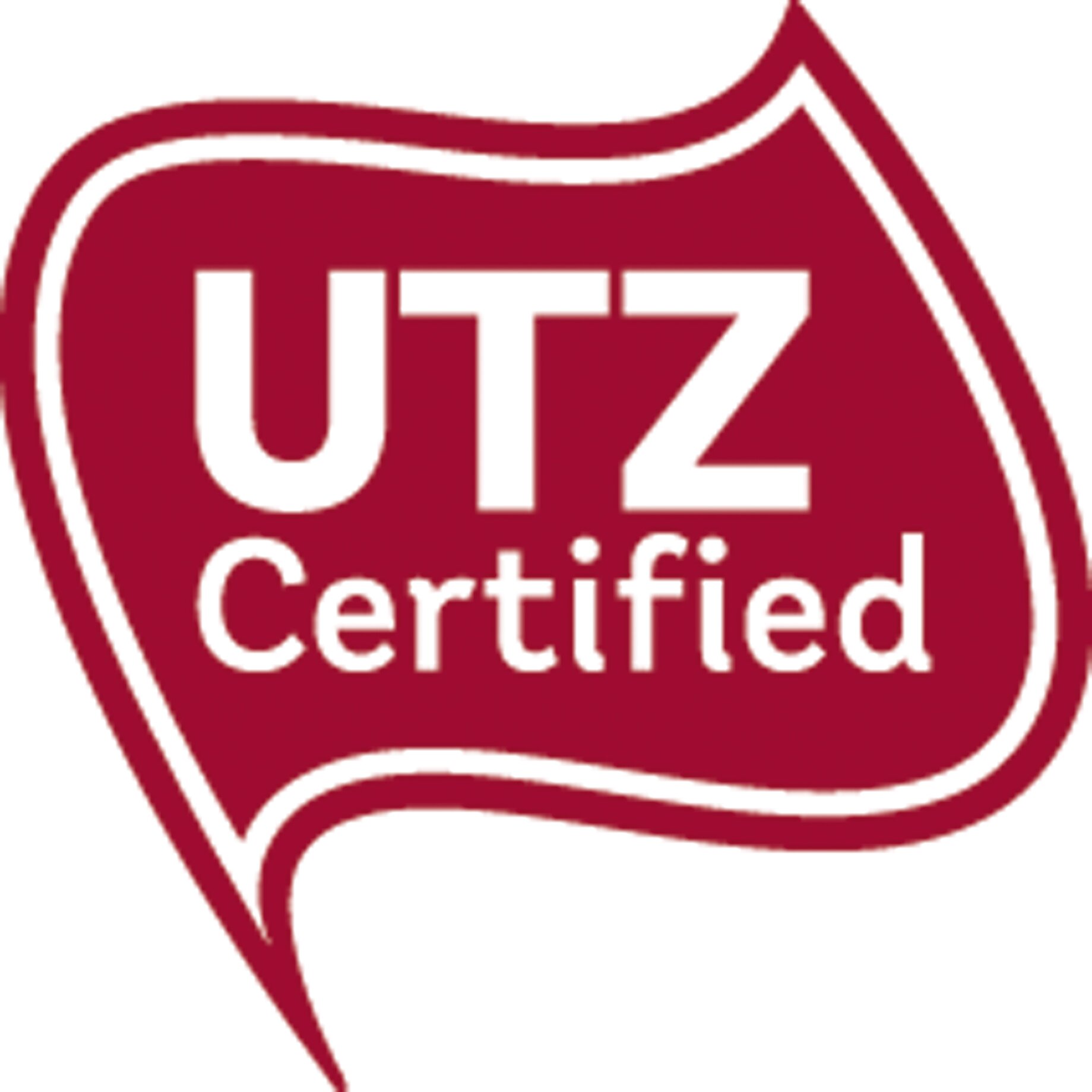 Logo, Logo