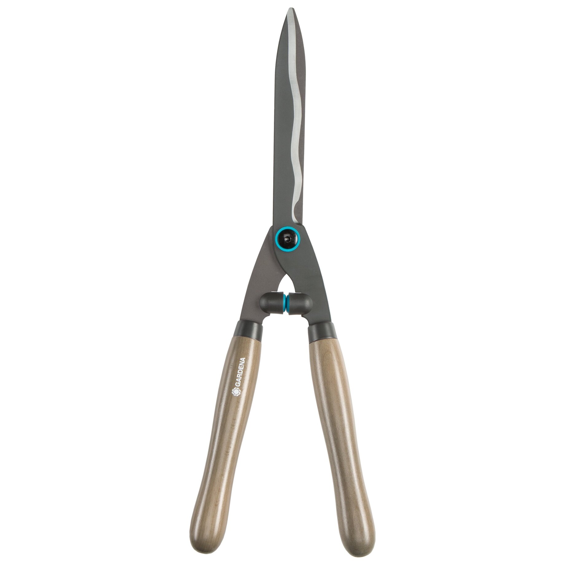 Klinge, Waffe, Schere, Scheren, Dolch